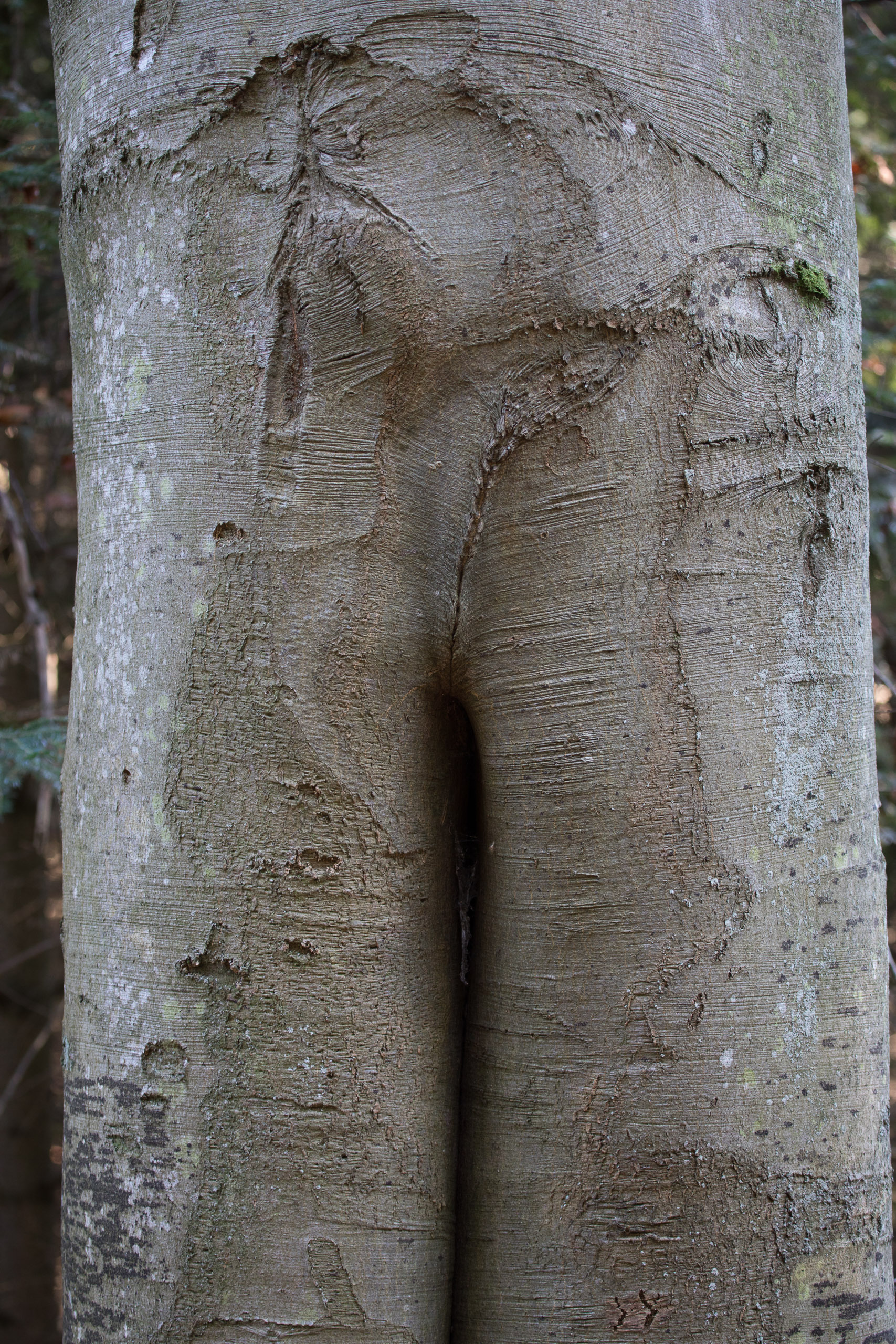 20221027155503 RD4 0005