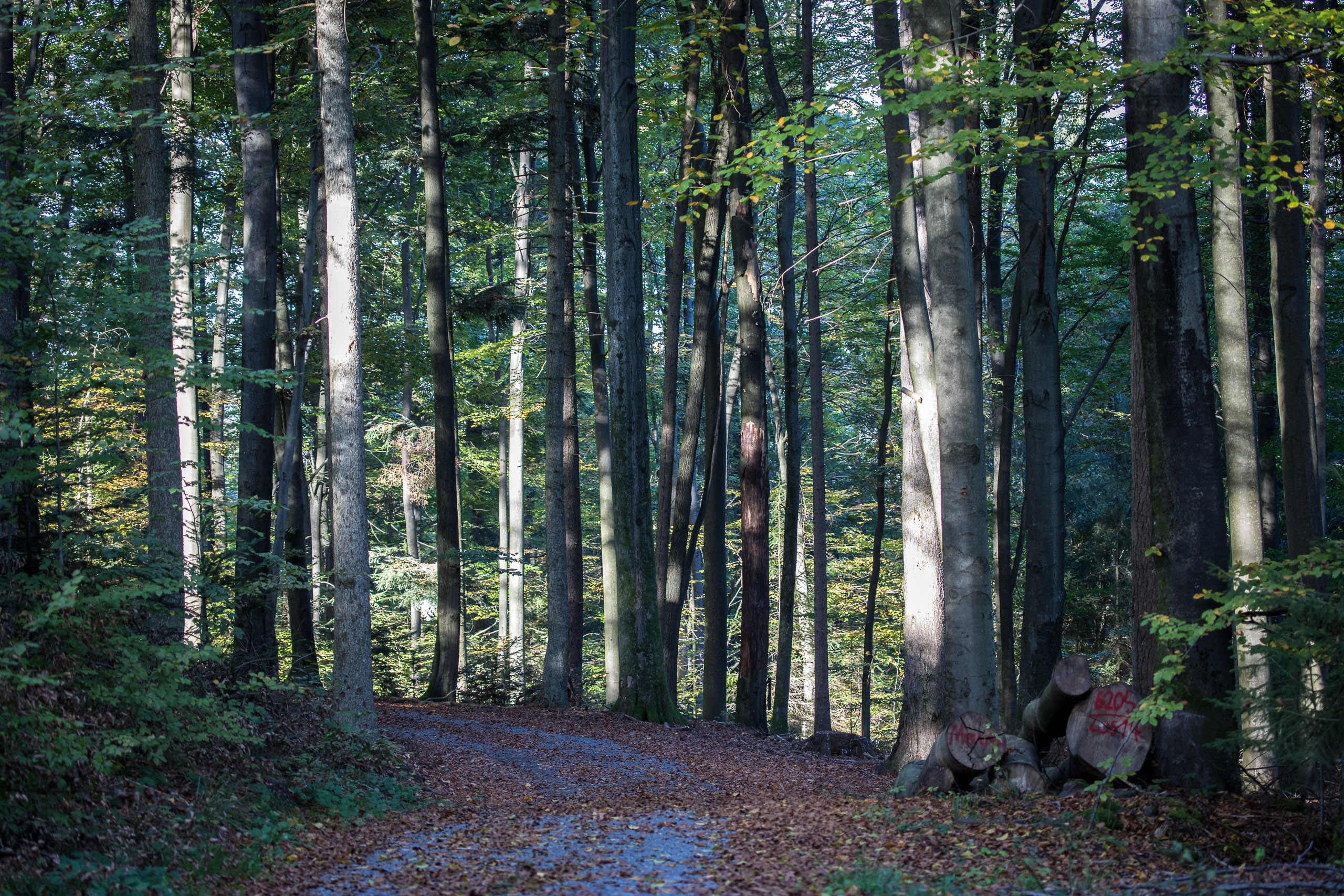 20221027155850 RD4 0014