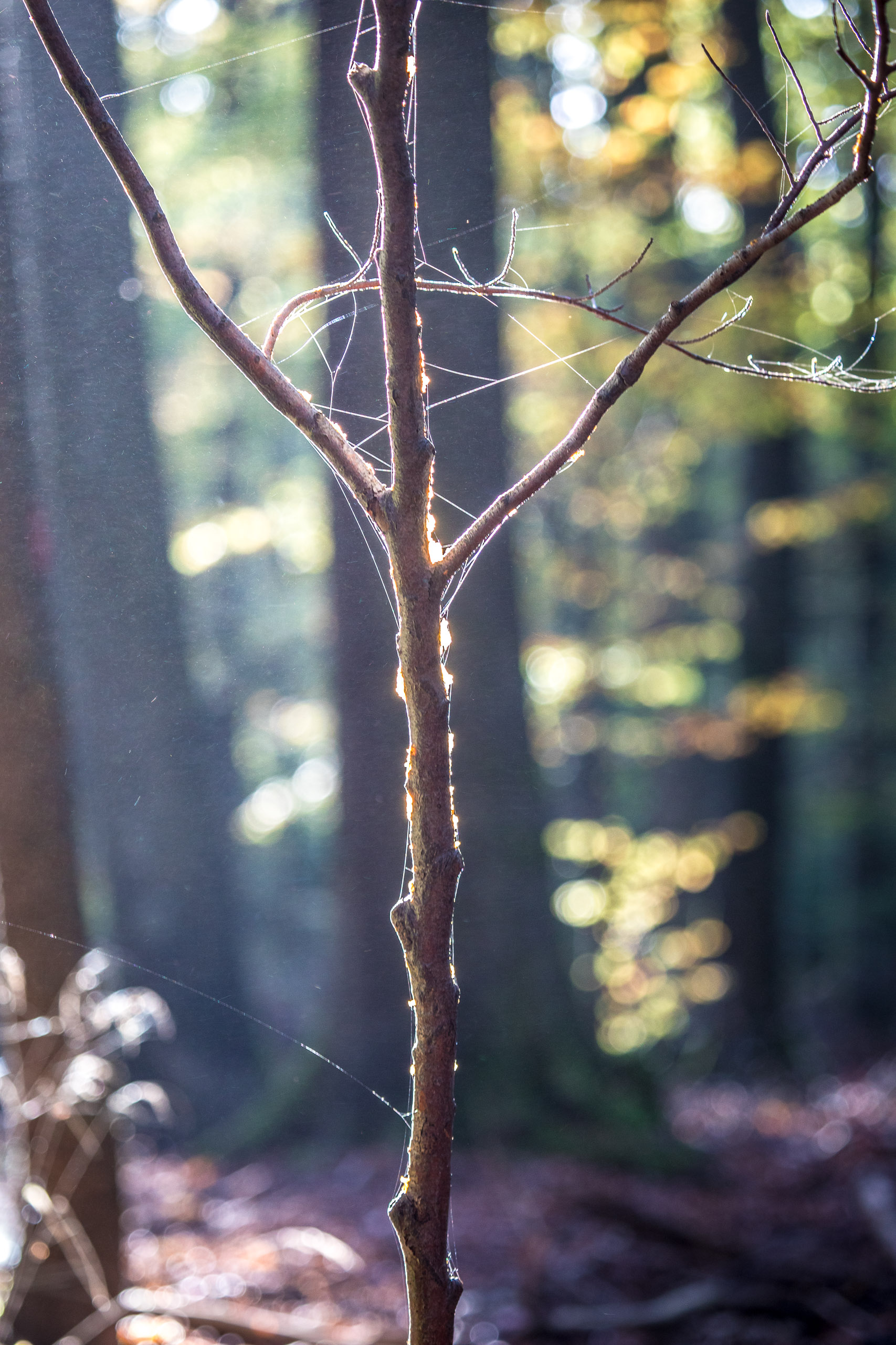 20221027160524 RD4 0044