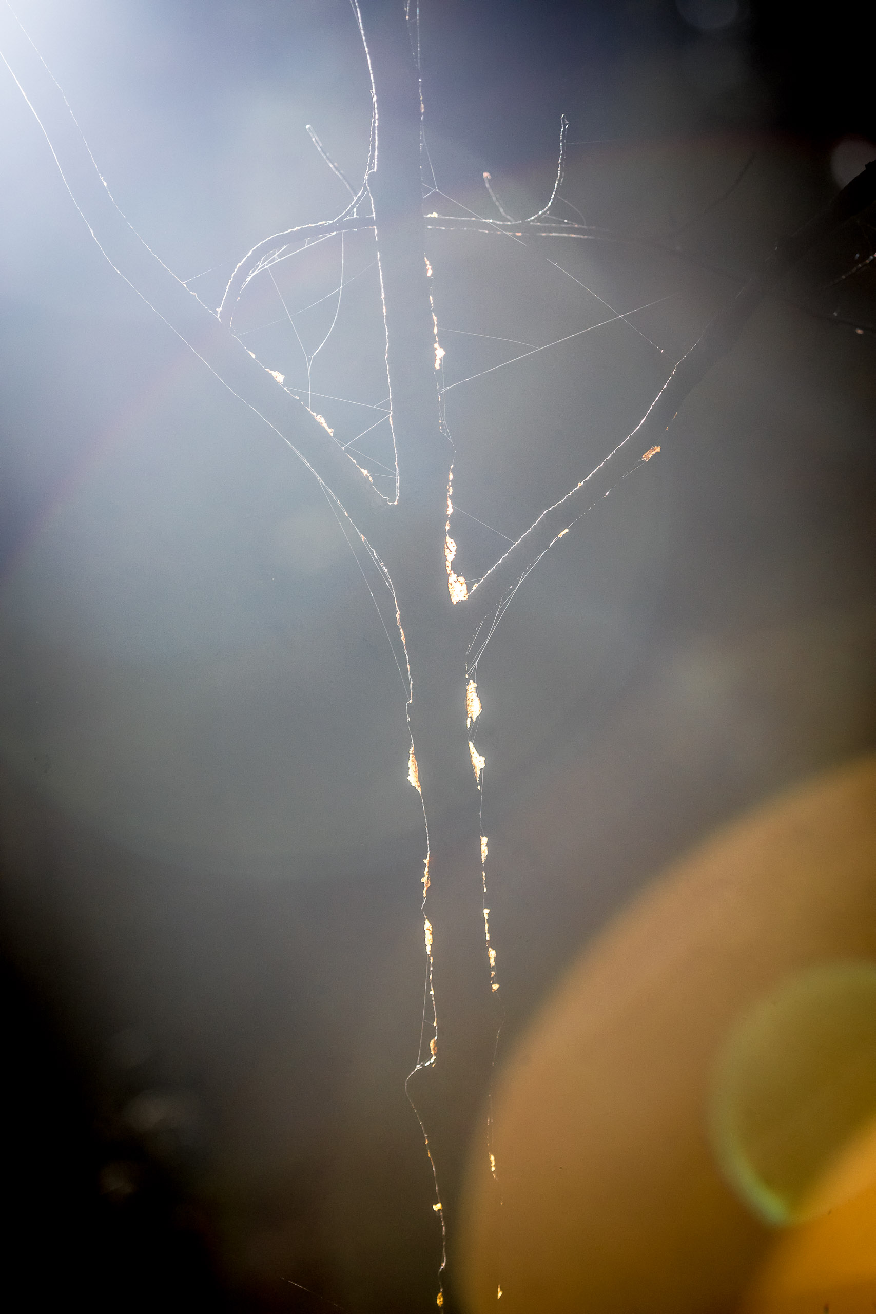 20221027160538 RD4 0051