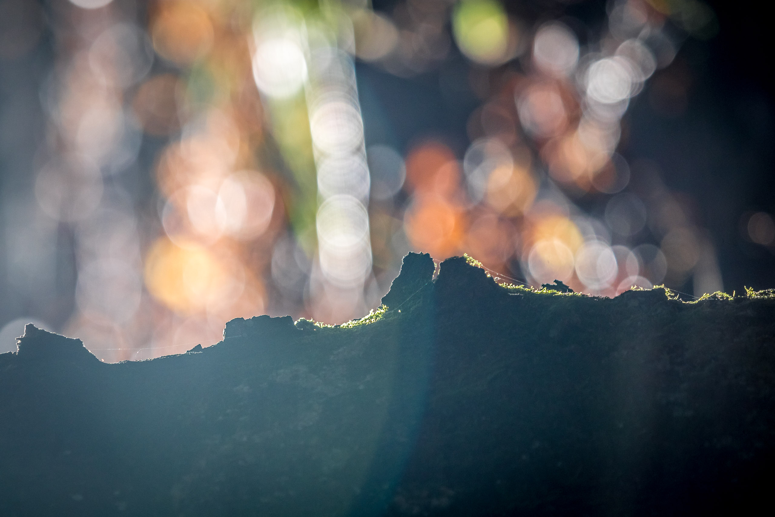 20221027160556 RD4 0062