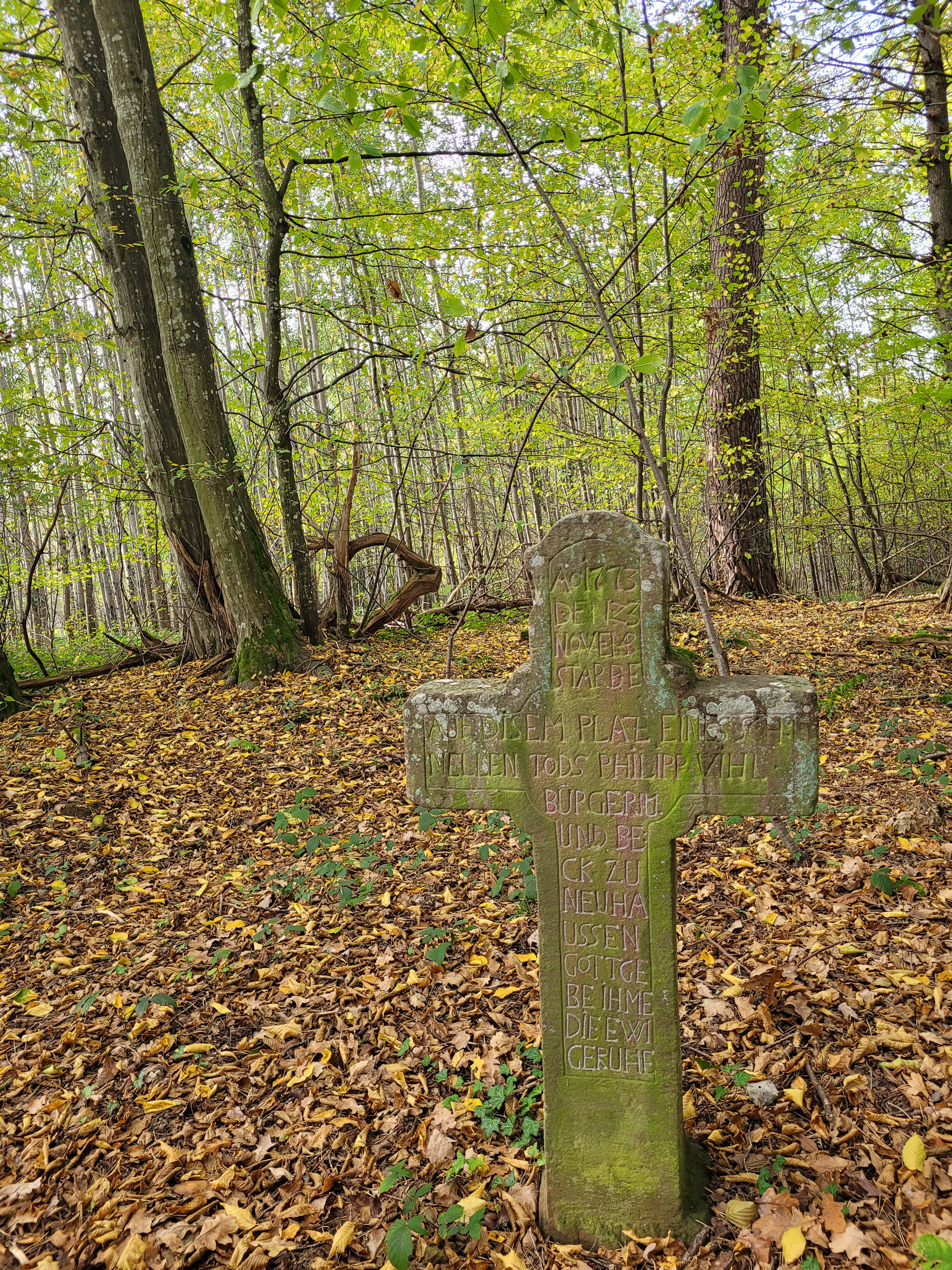 20221028155355 20221028 155354