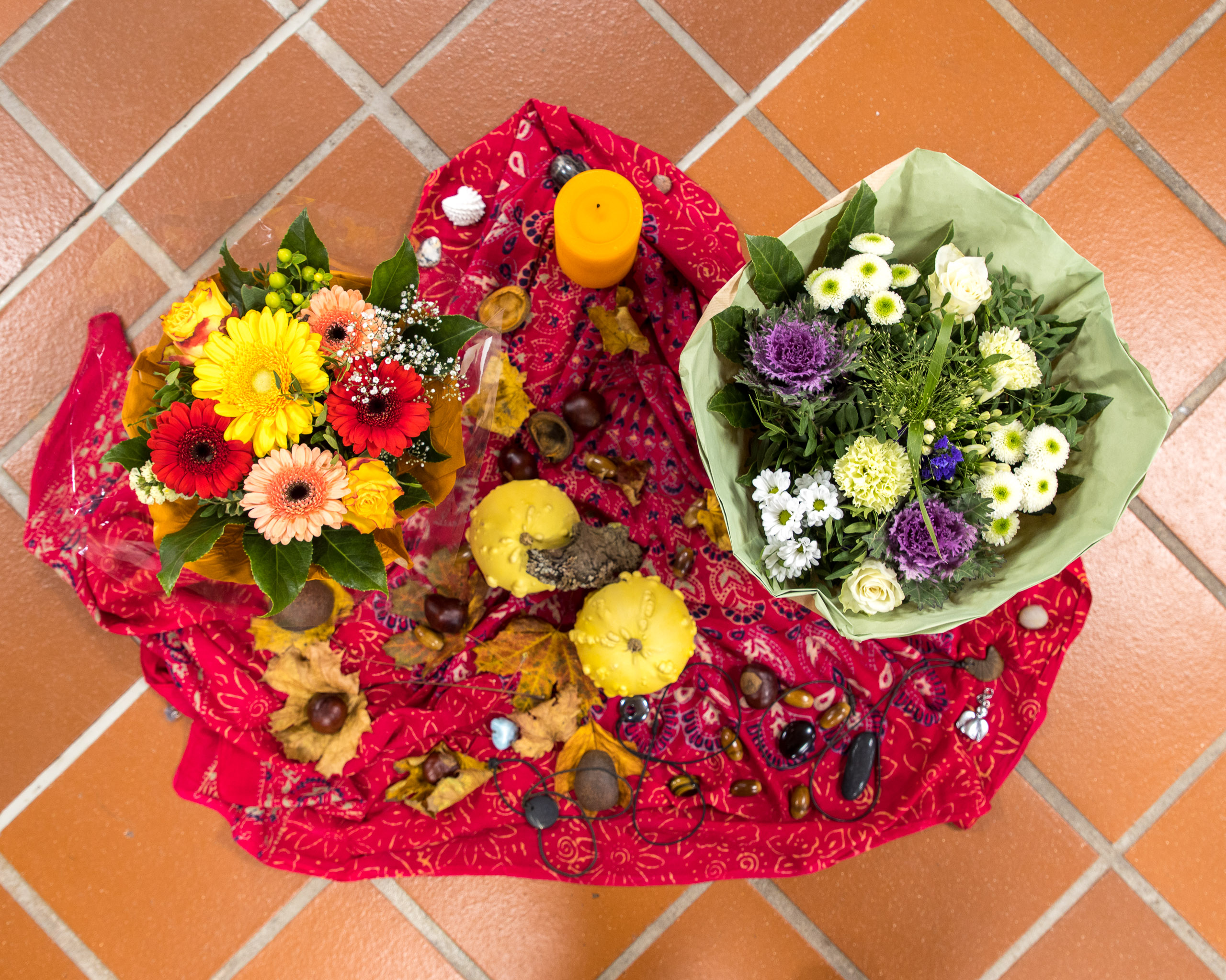 20221029073151 R5D 8539