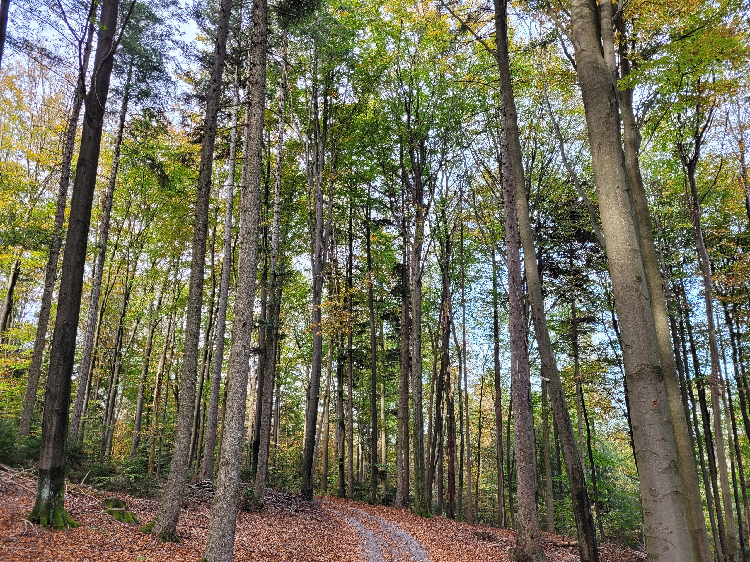 20221030150710 20221030 150710