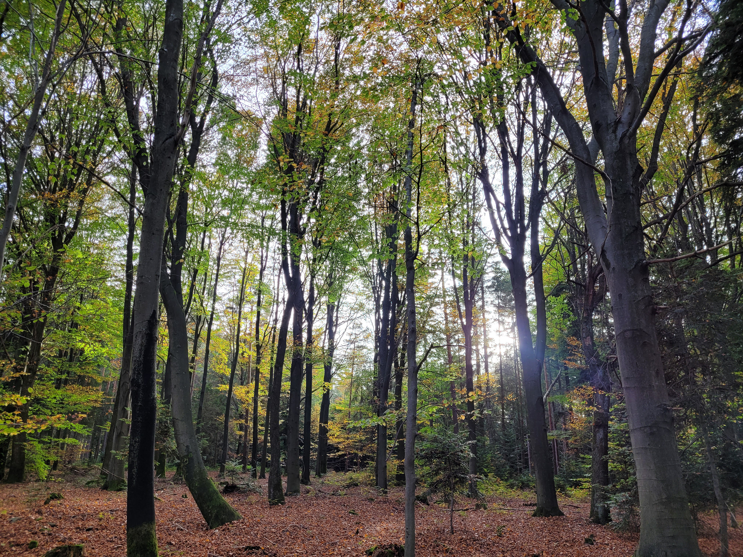 20221030151945 20221030 151945