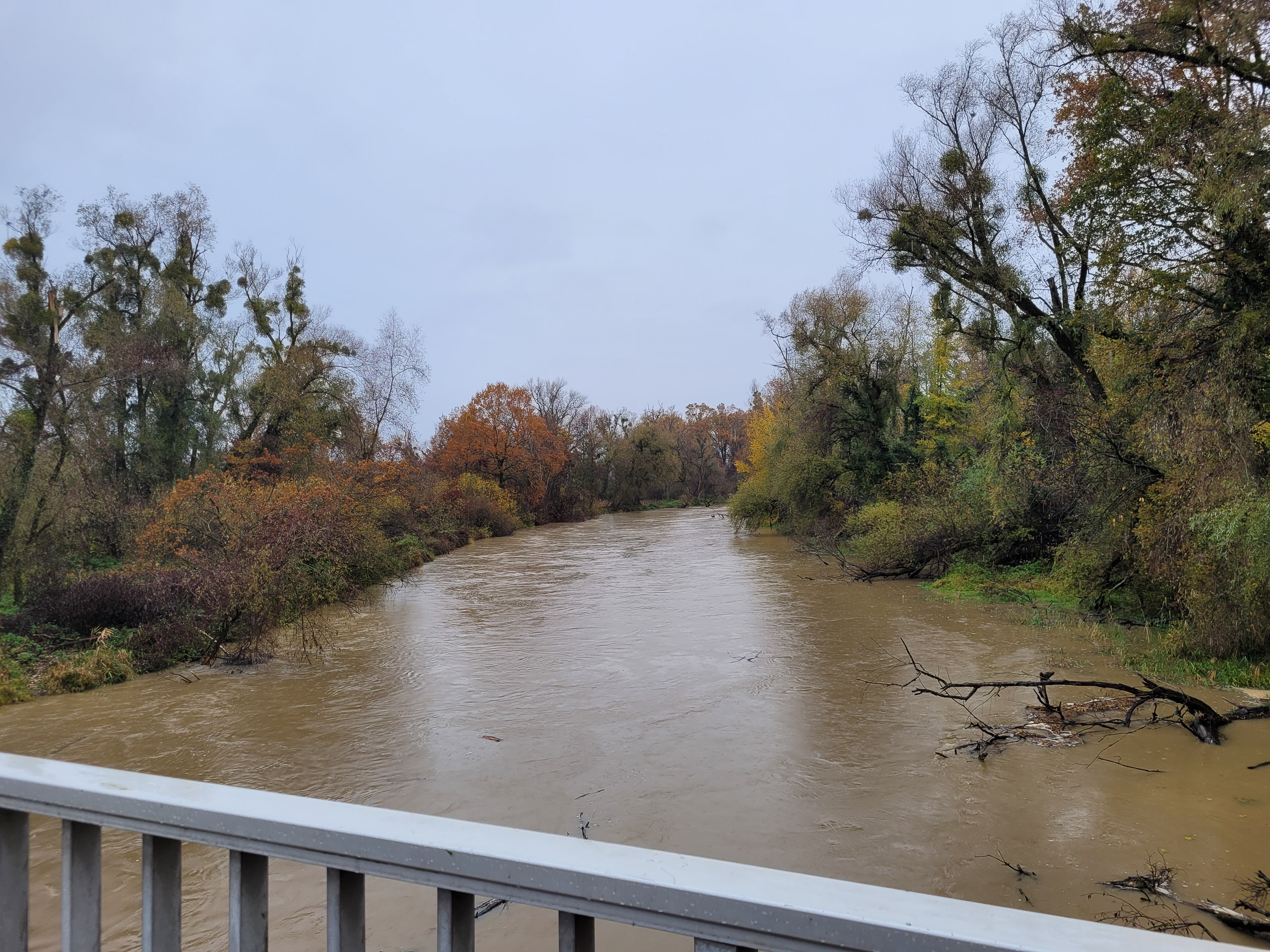 20231117104200 20231117 104200