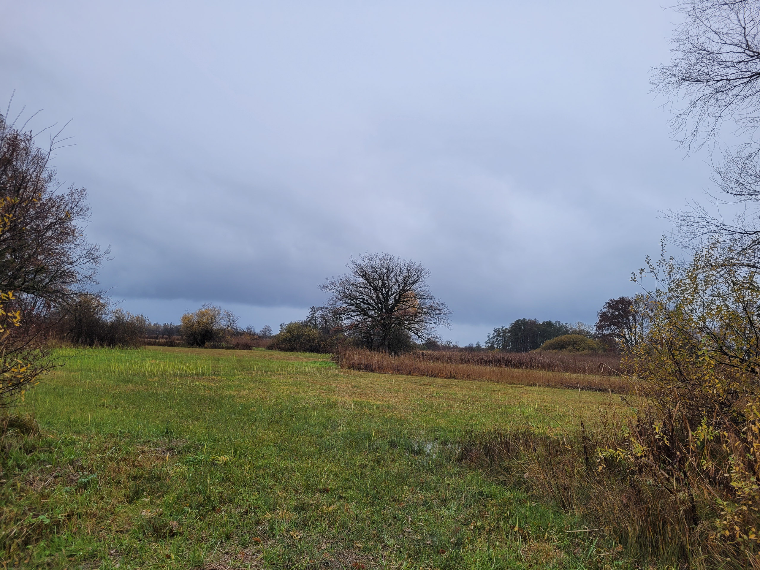 20231117112047 20231117 112046