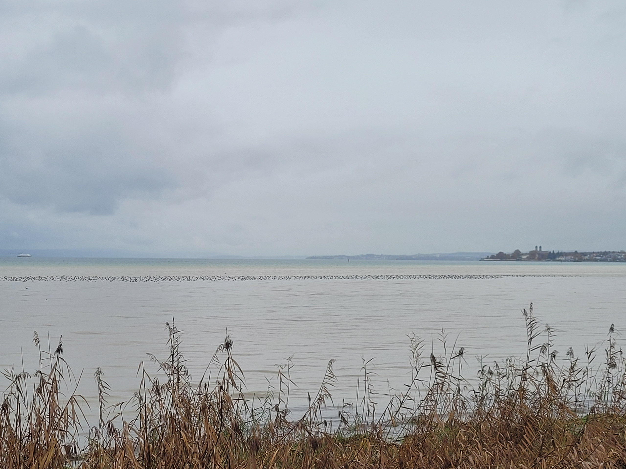 20231117113156 20231117 113156