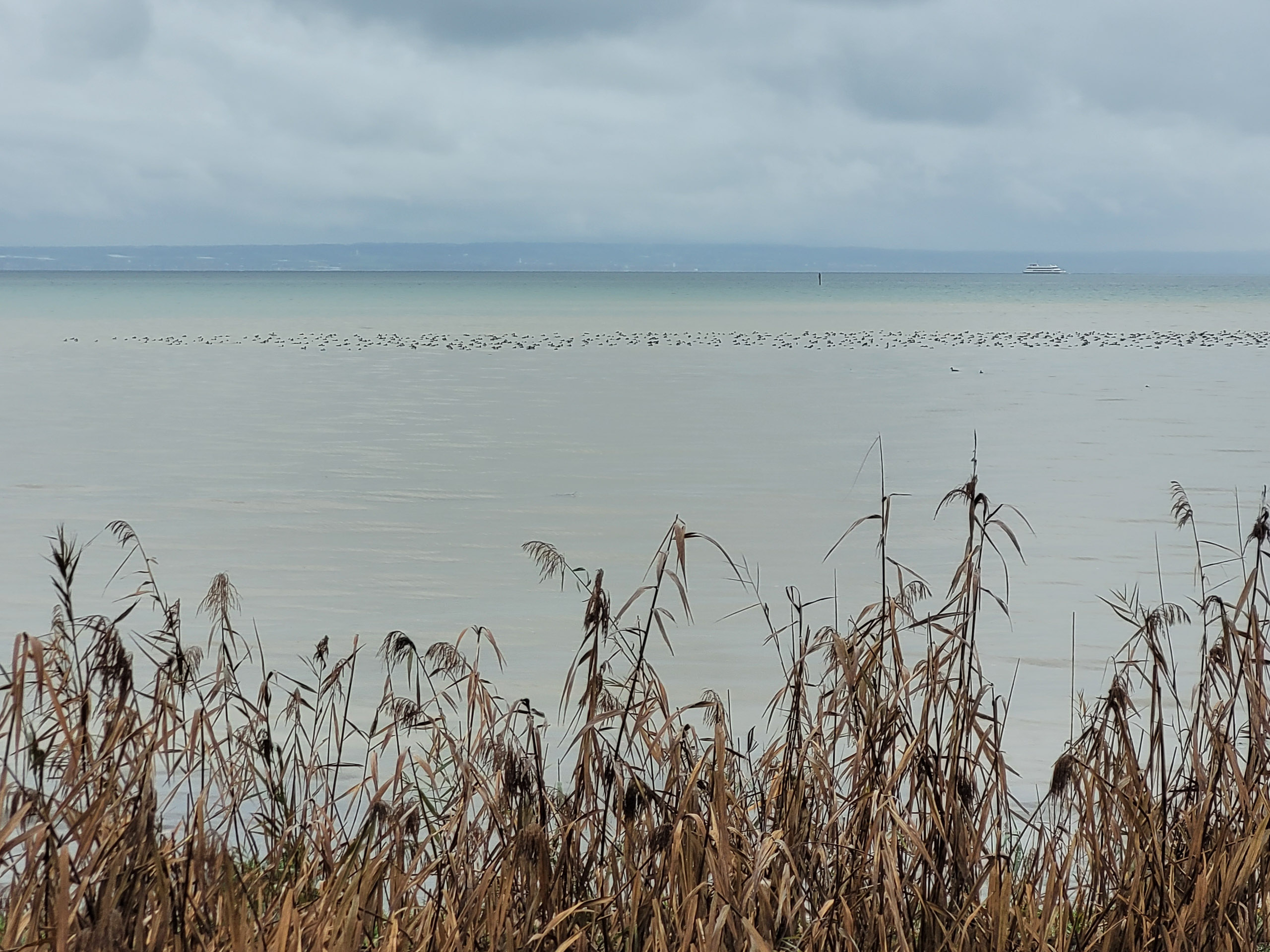 20231117113224 20231117 113223