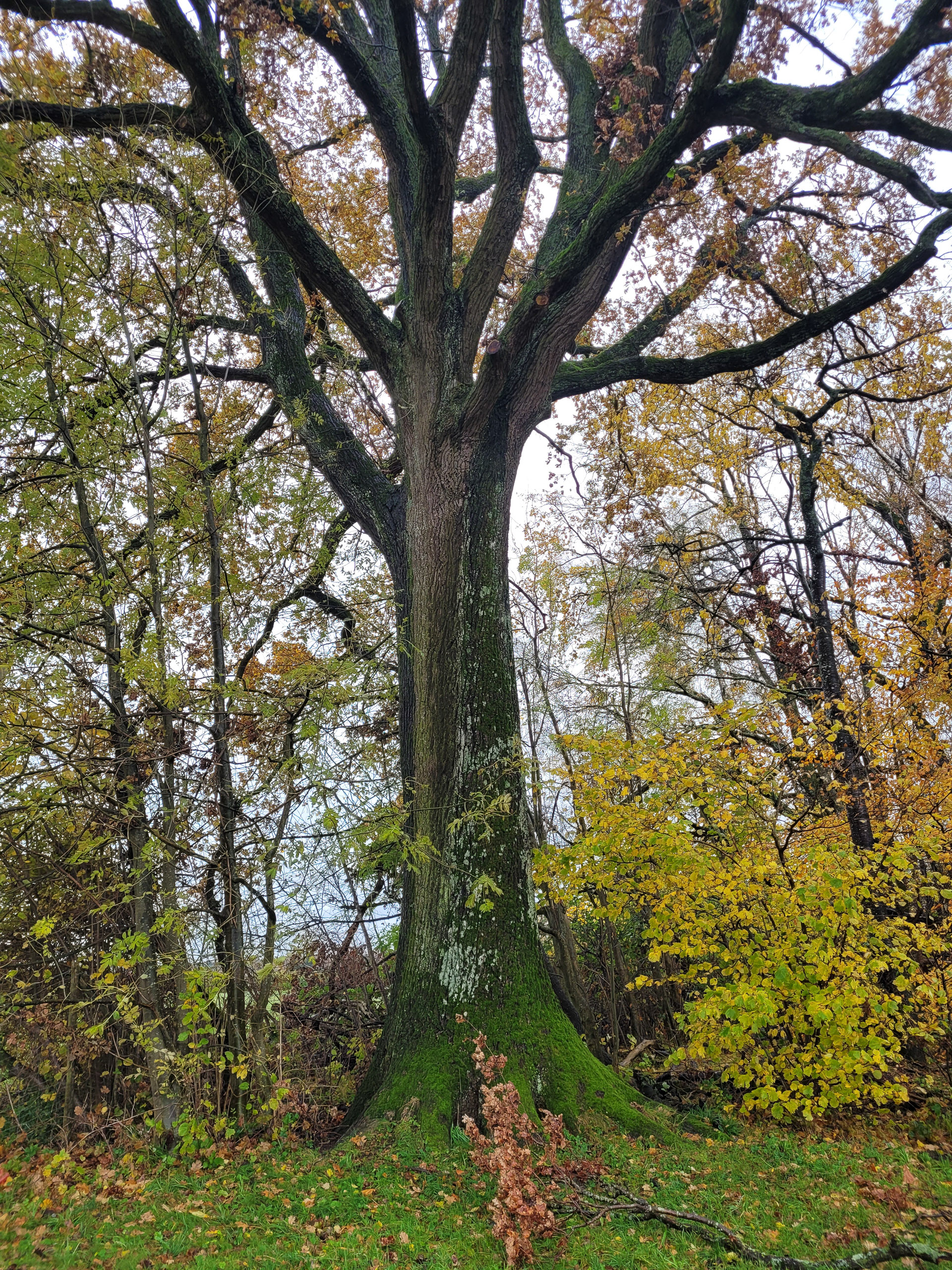 20231117114745 20231117 114745