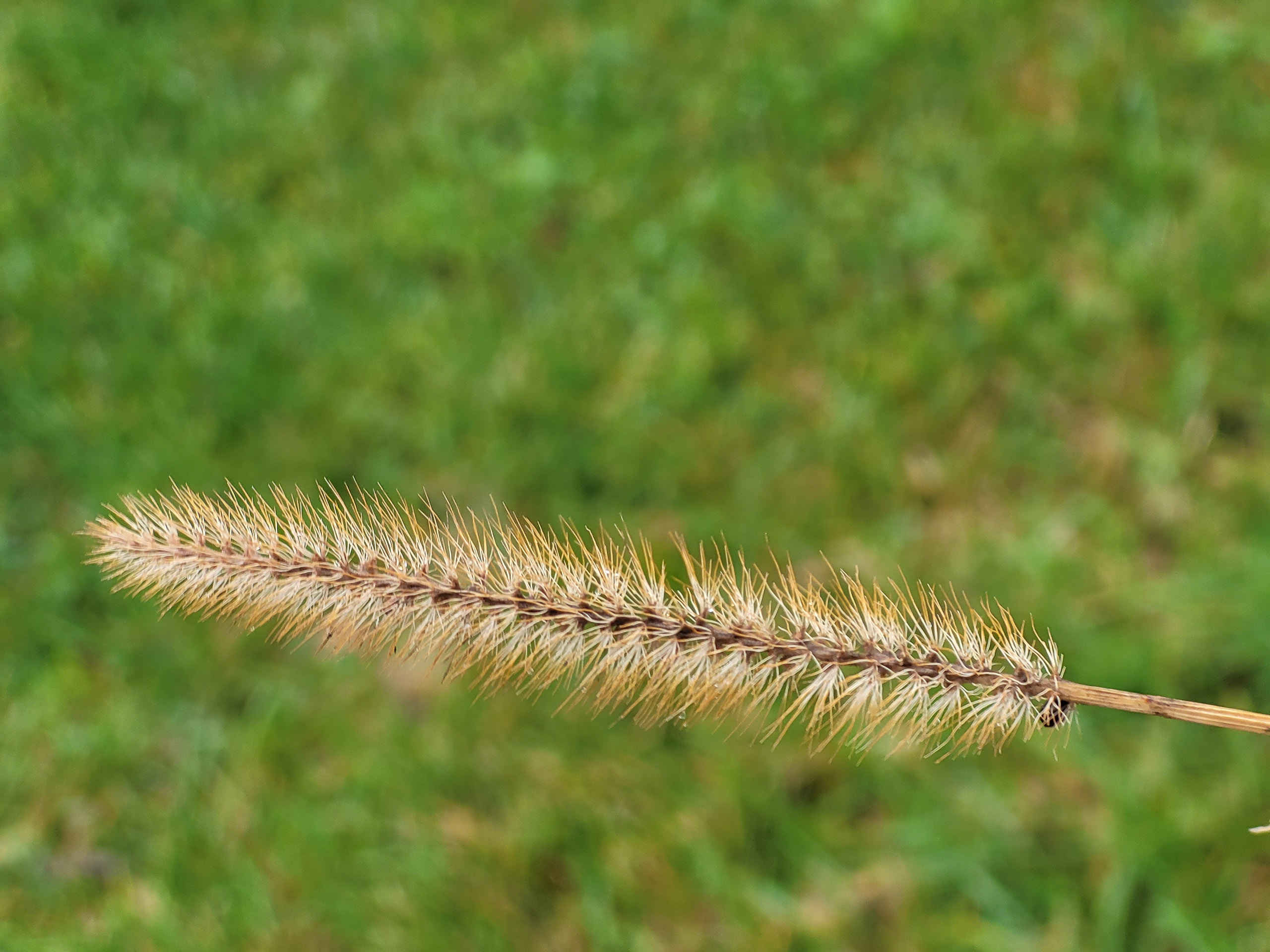 20231117115825 20231117 115824