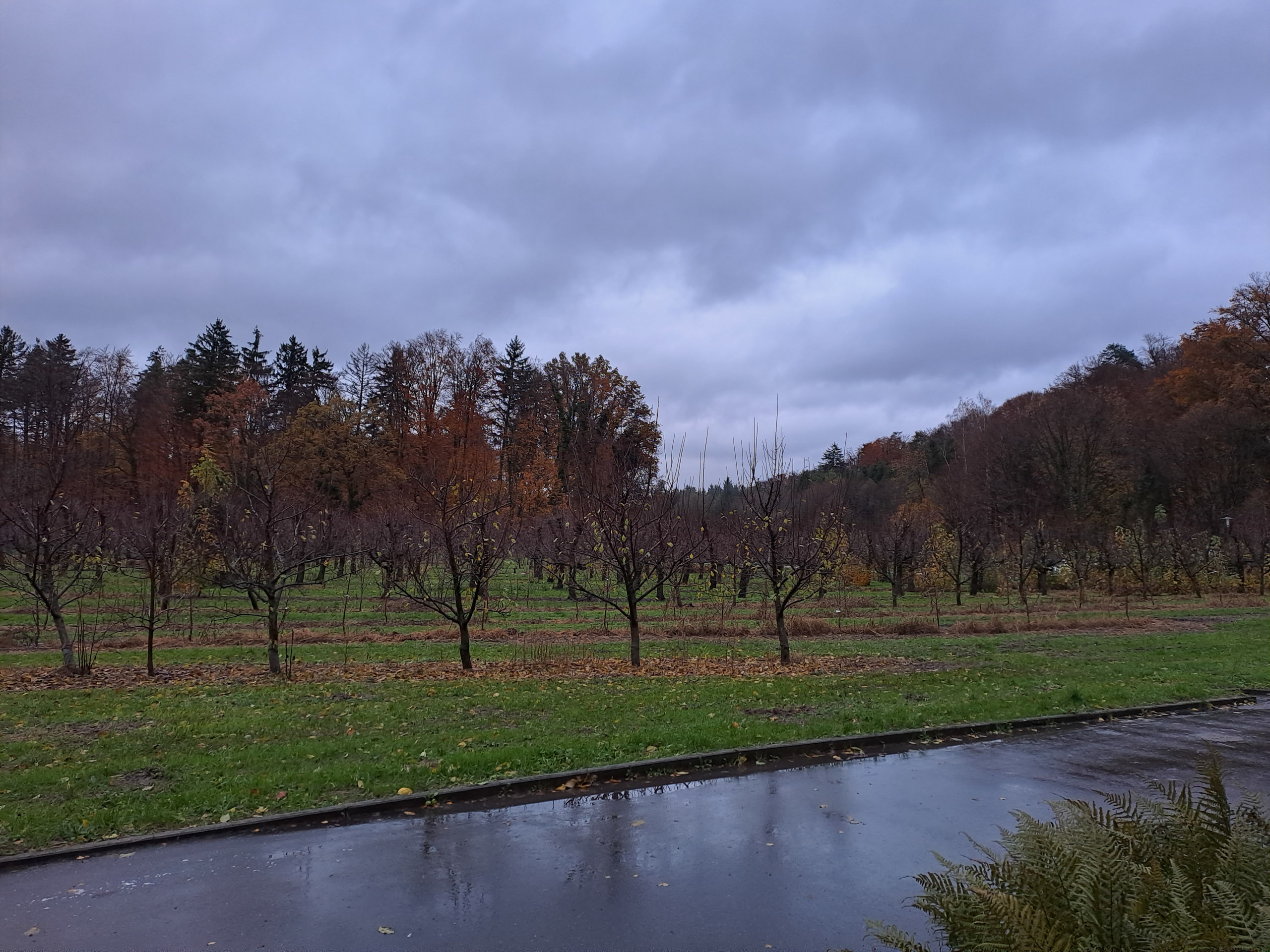 20231117161701 20231117 161701