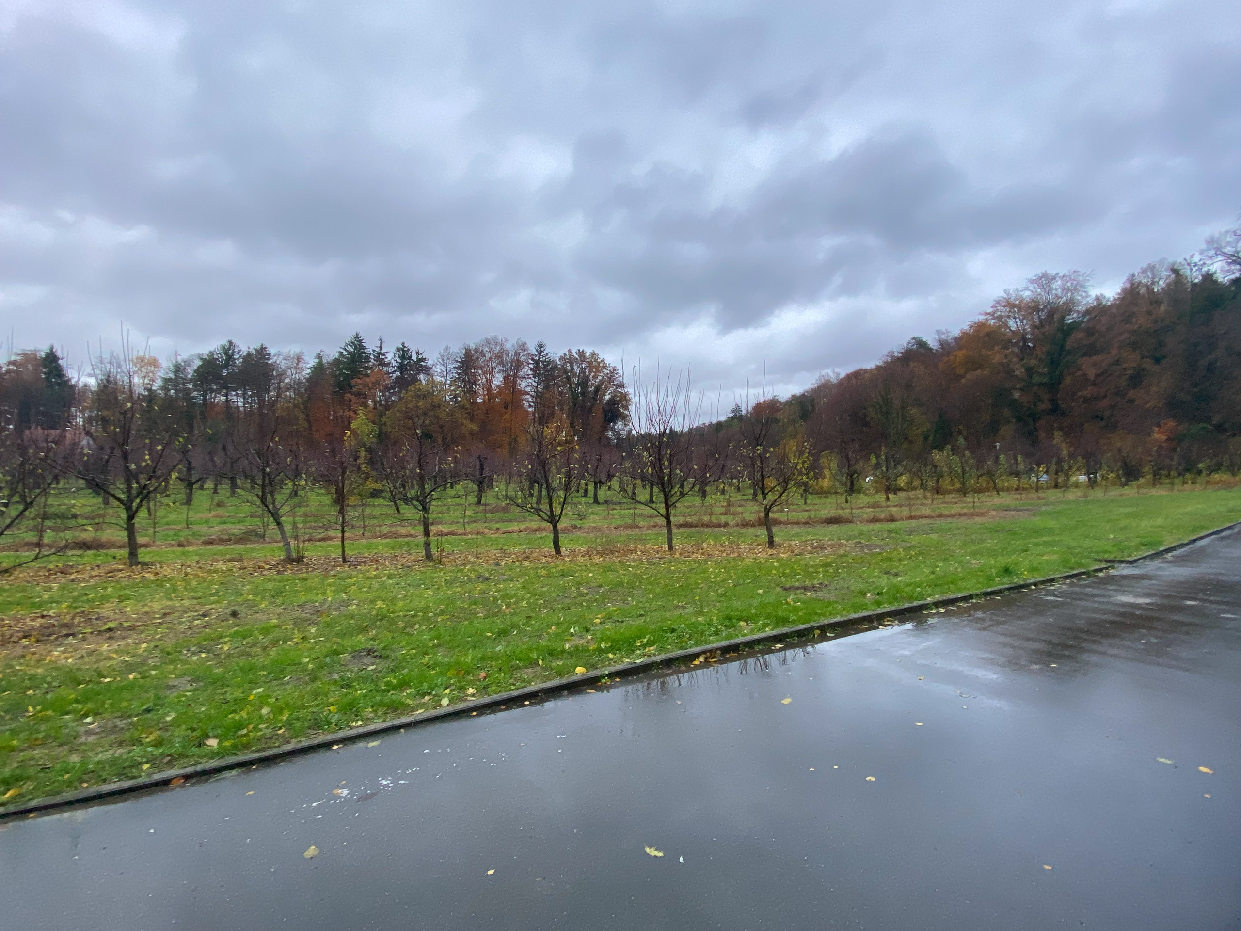 20231117161739 IMG 8929