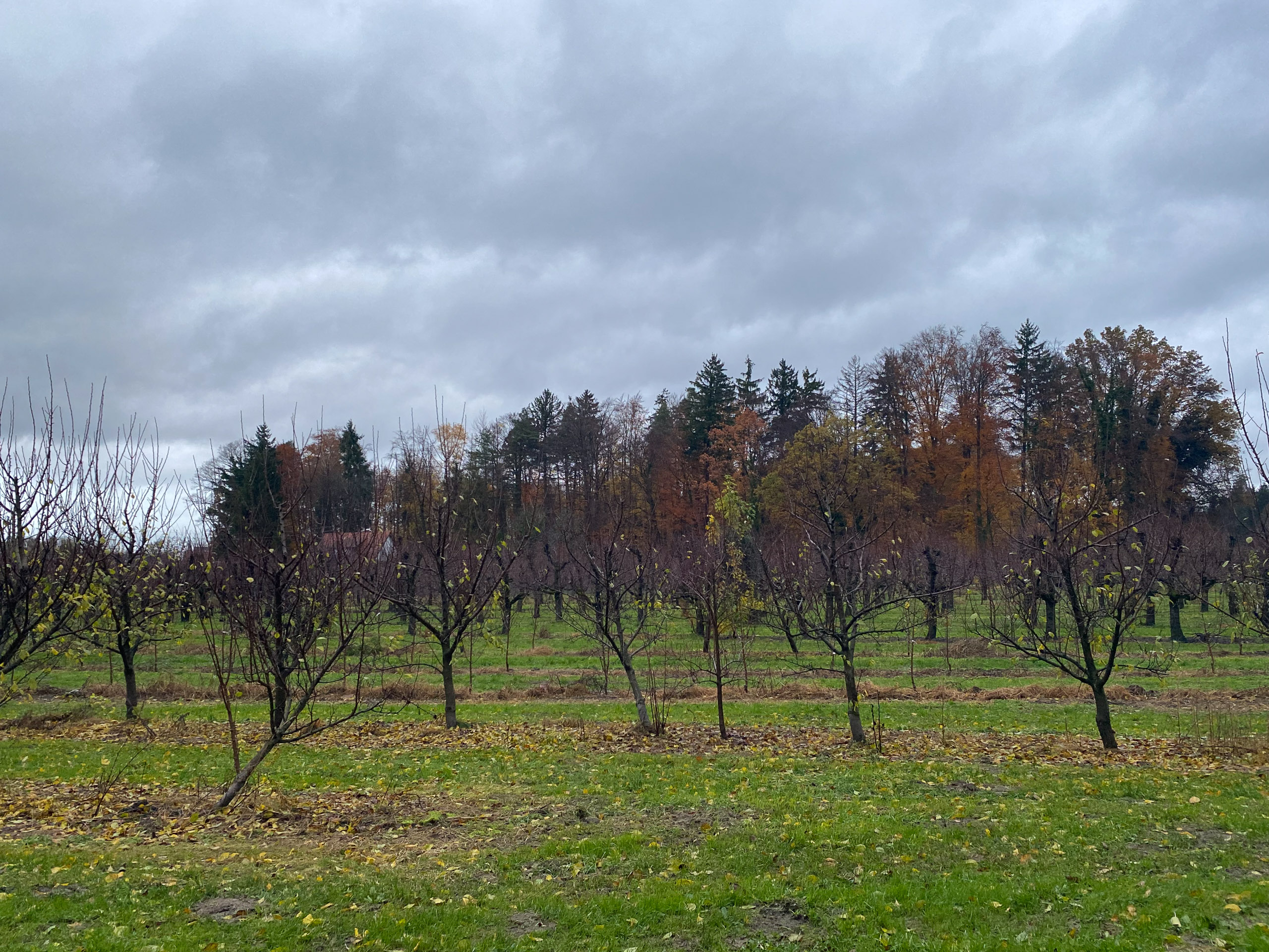 20231117161746 IMG 8930