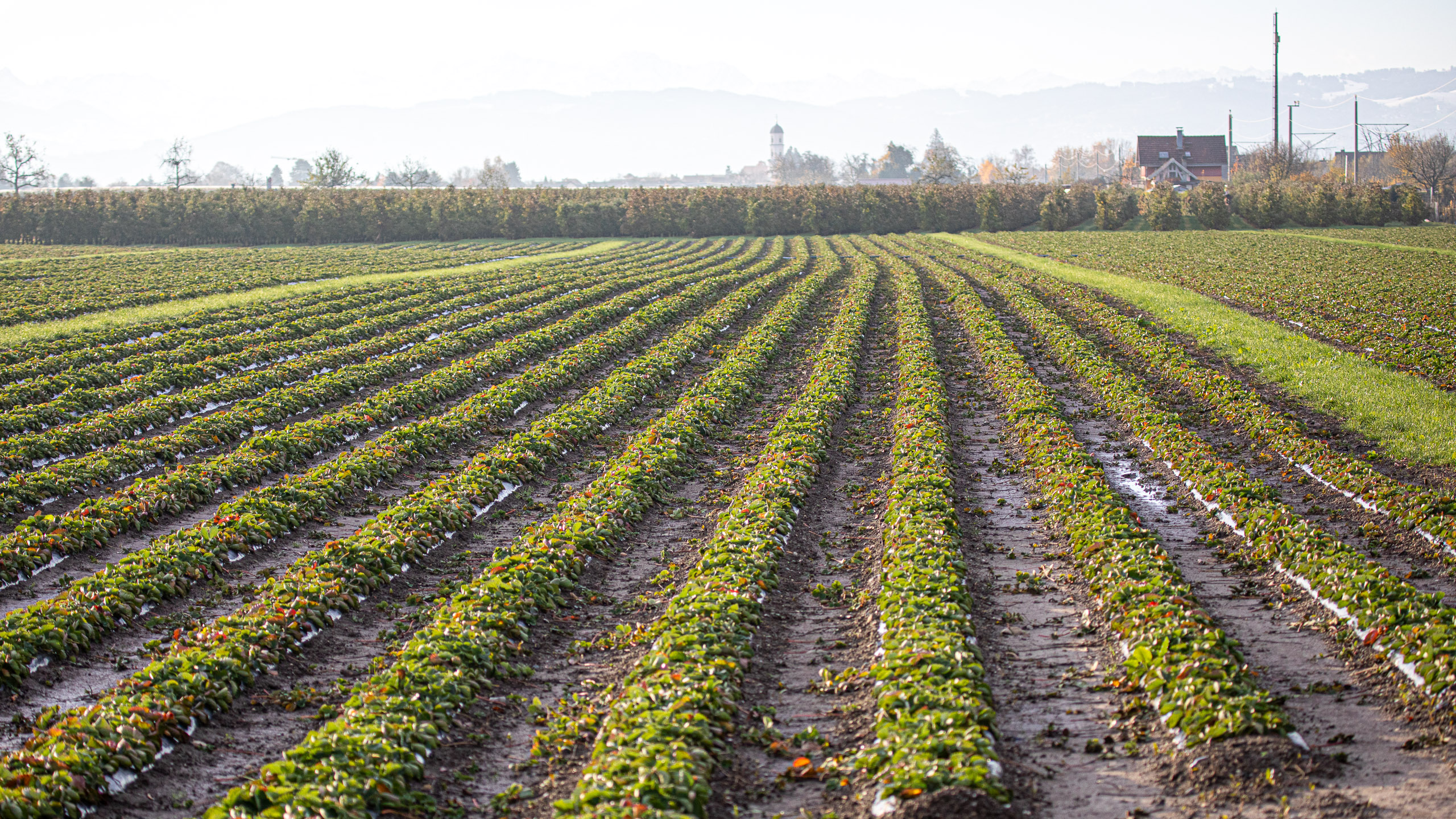 20231118084143 RD4 4780