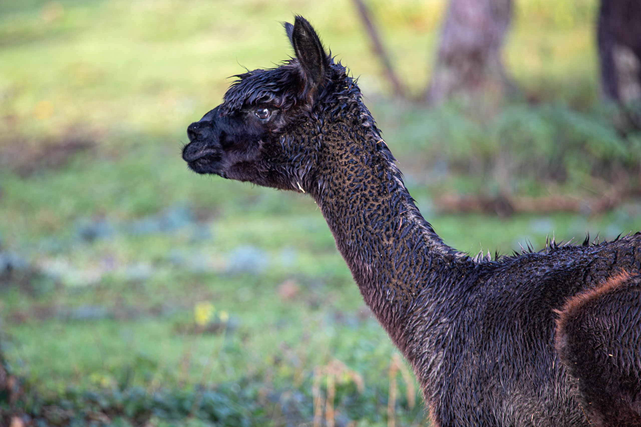 20231118084556 RD4 4791 e