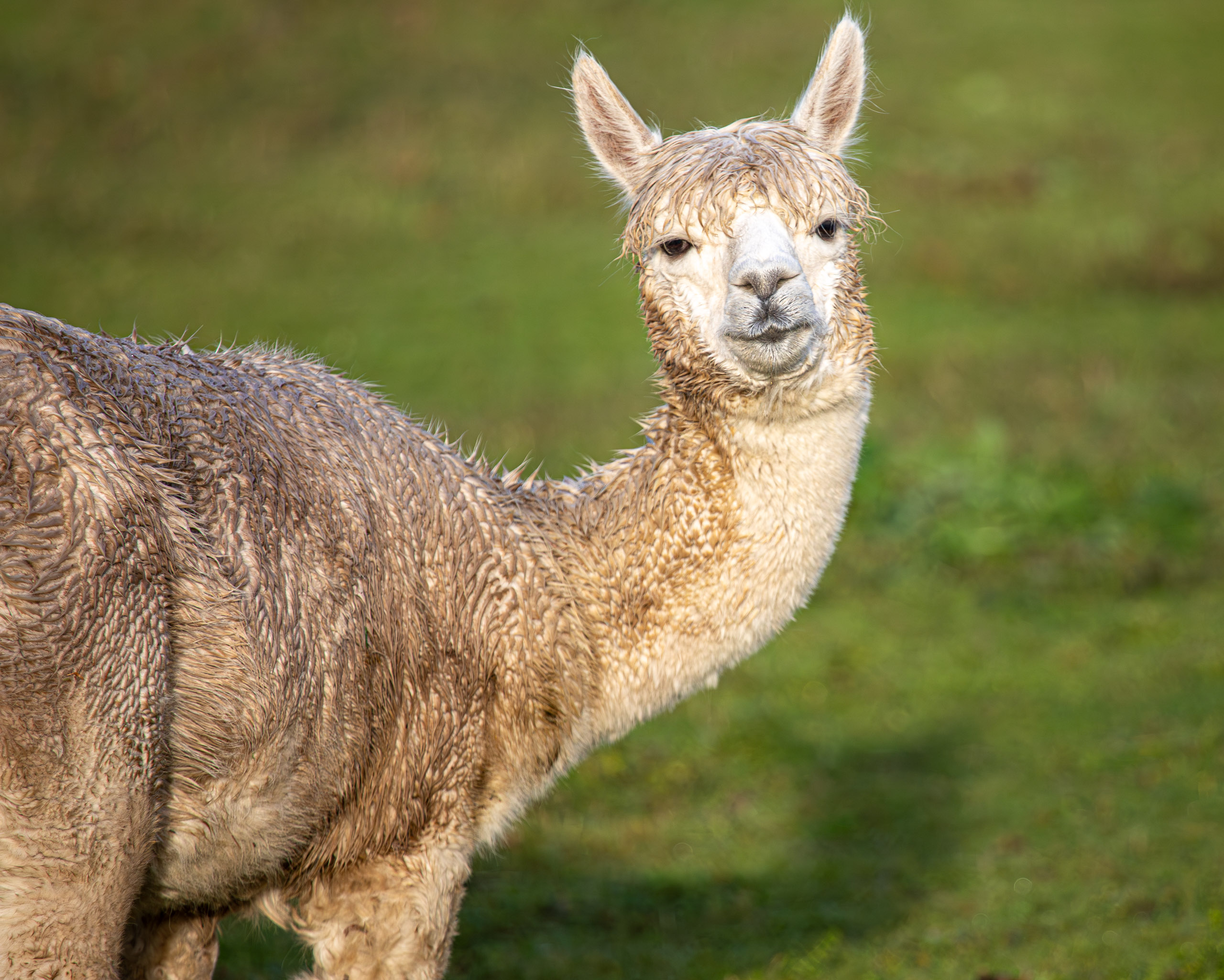 20231118084601 RD4 4795 e