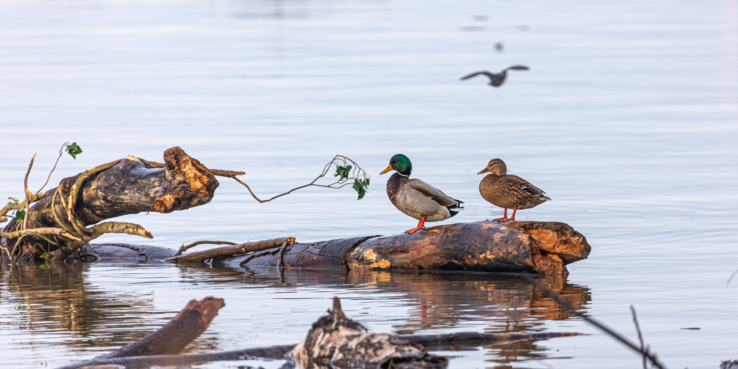 20231118085245 RD4 4805