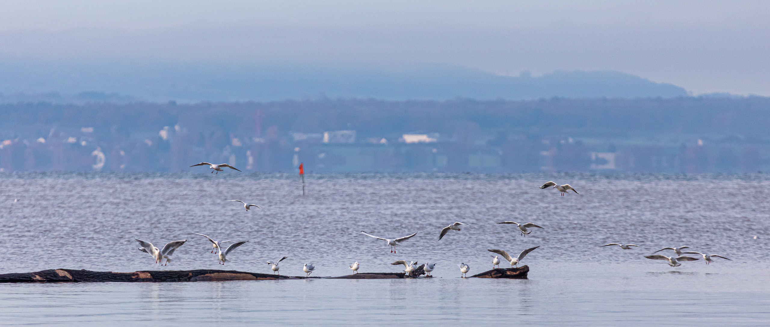 20231118090331 RD4 4844