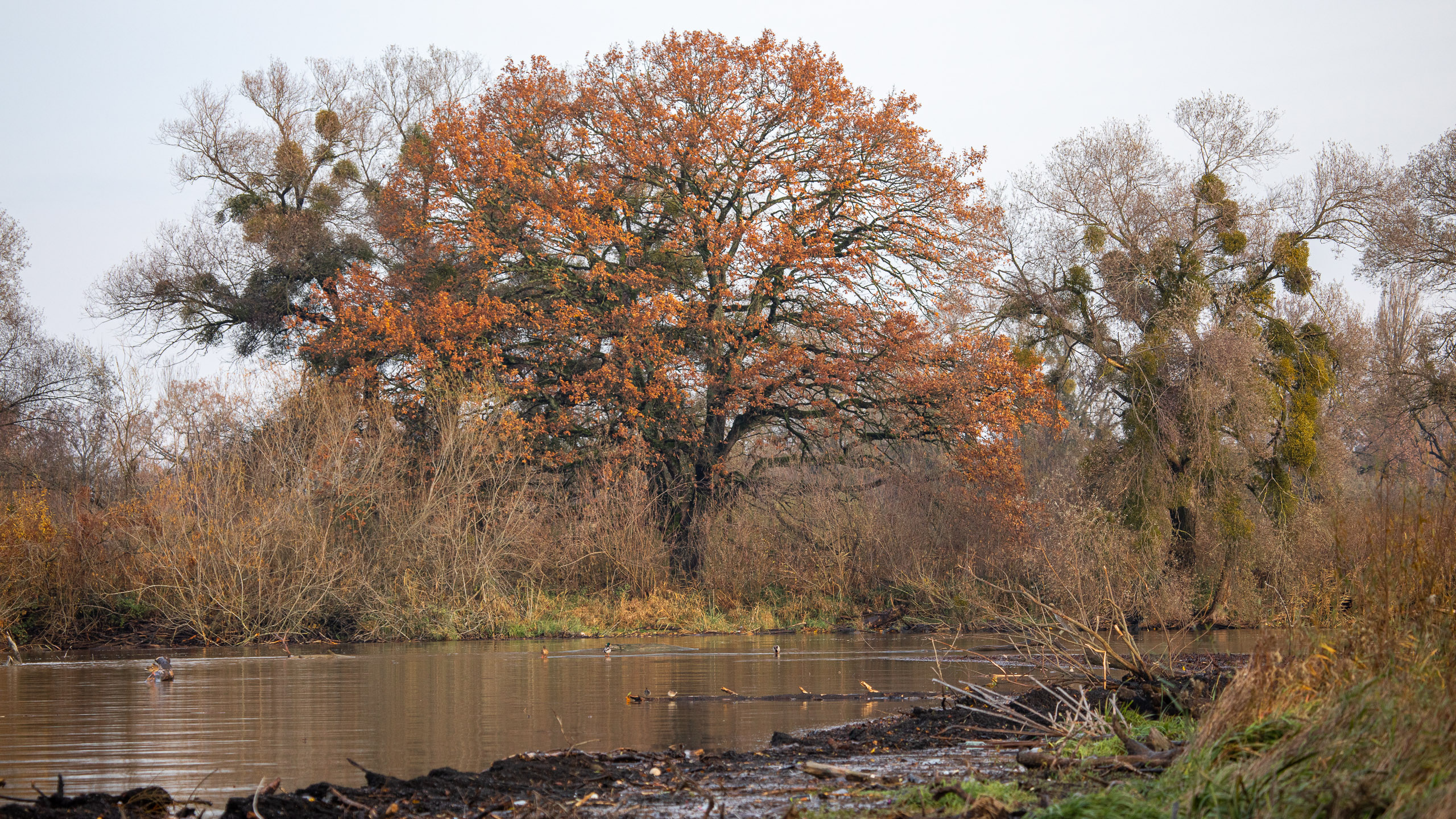 20231118090715 RD4 4855