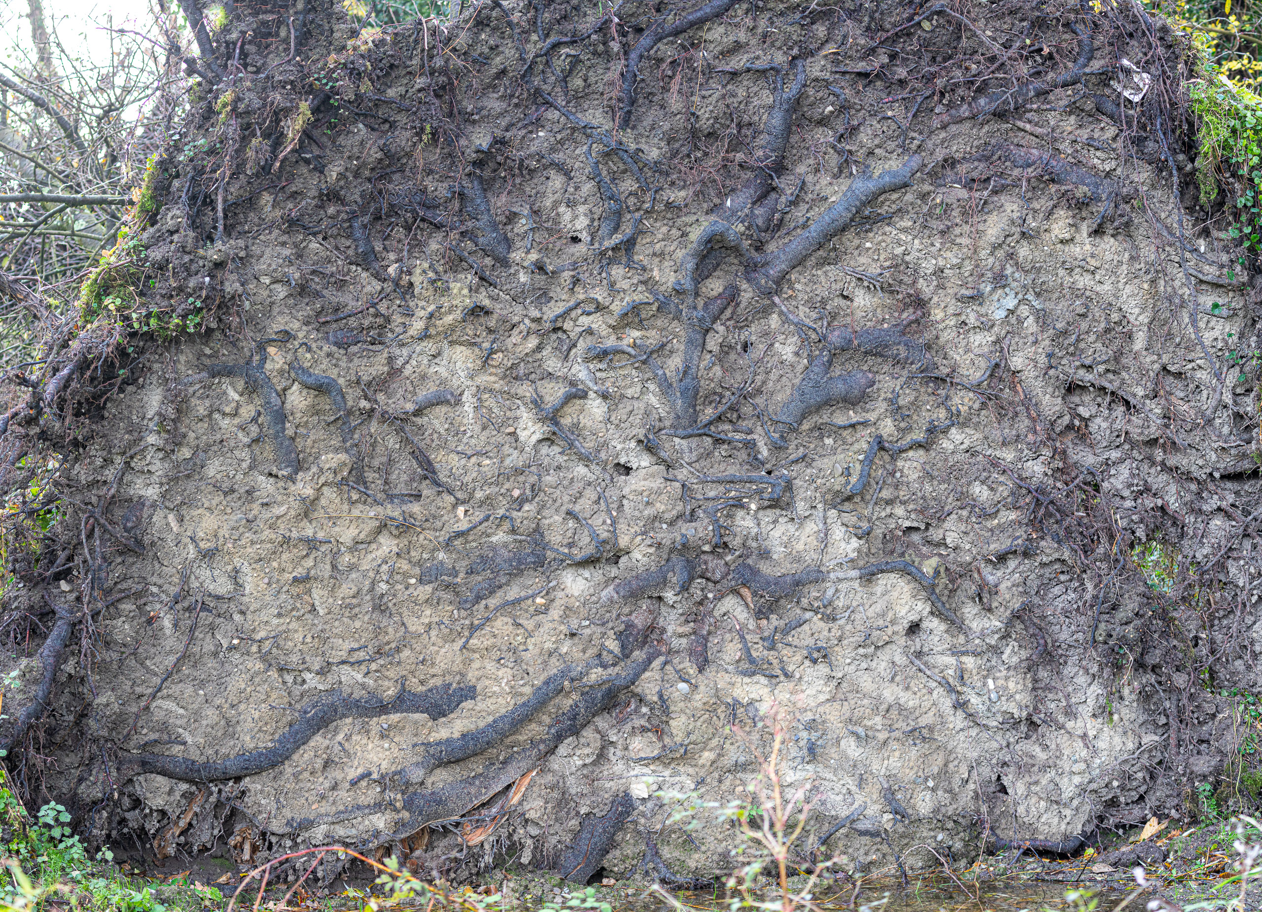 20231118091137 RD4 4859 Pano