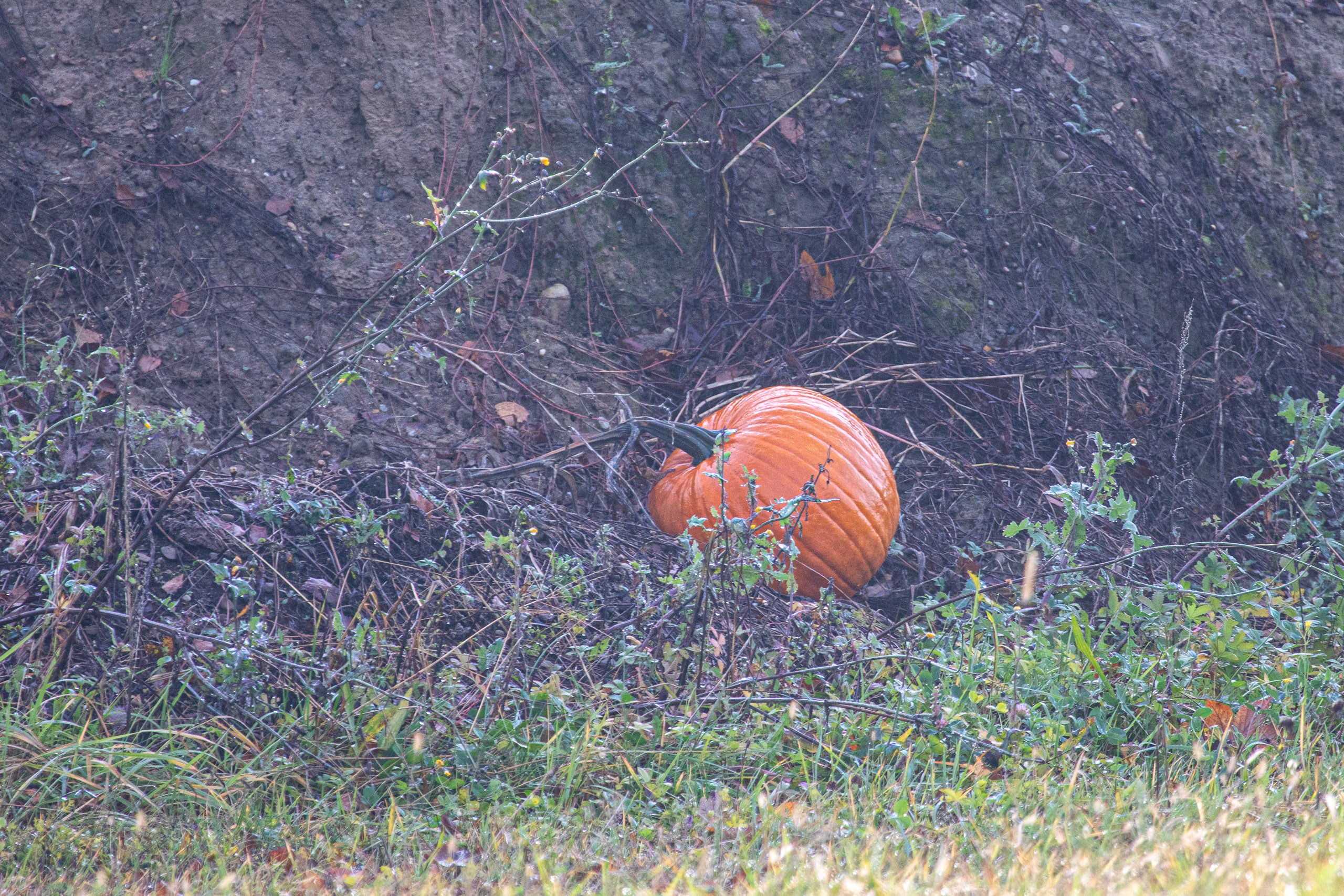 20231118091748 RD4 4869