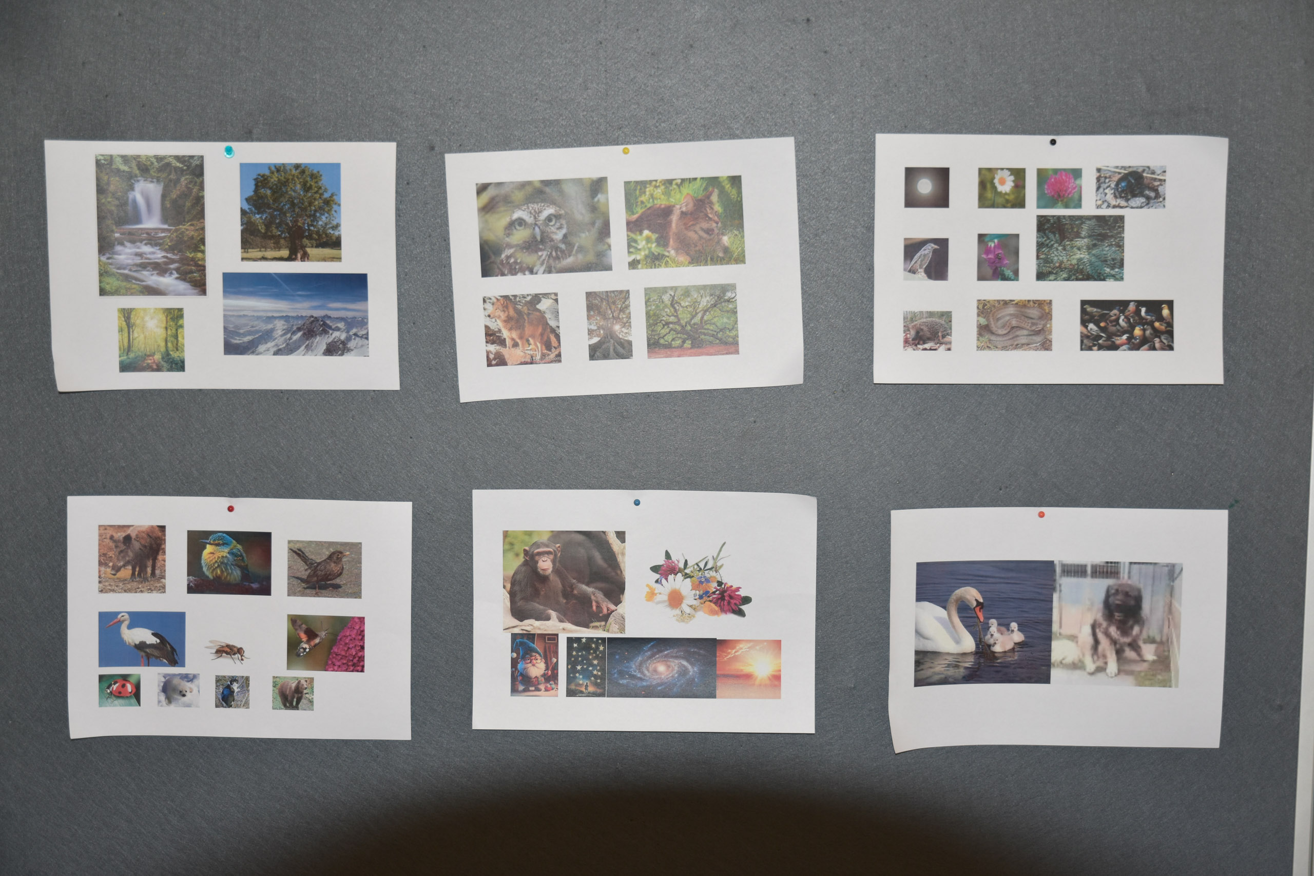 20231118092455  AOA0978