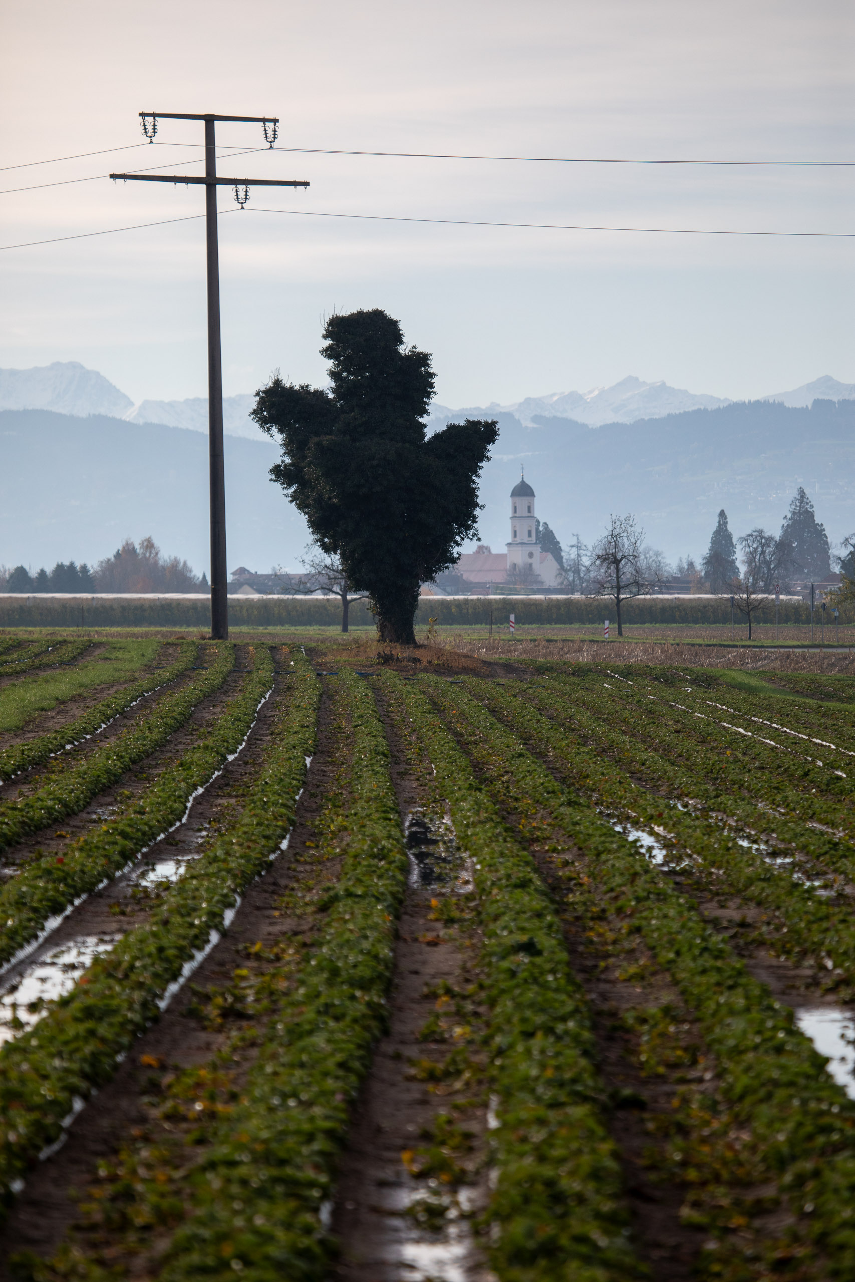 20231118092631 RD4 4874