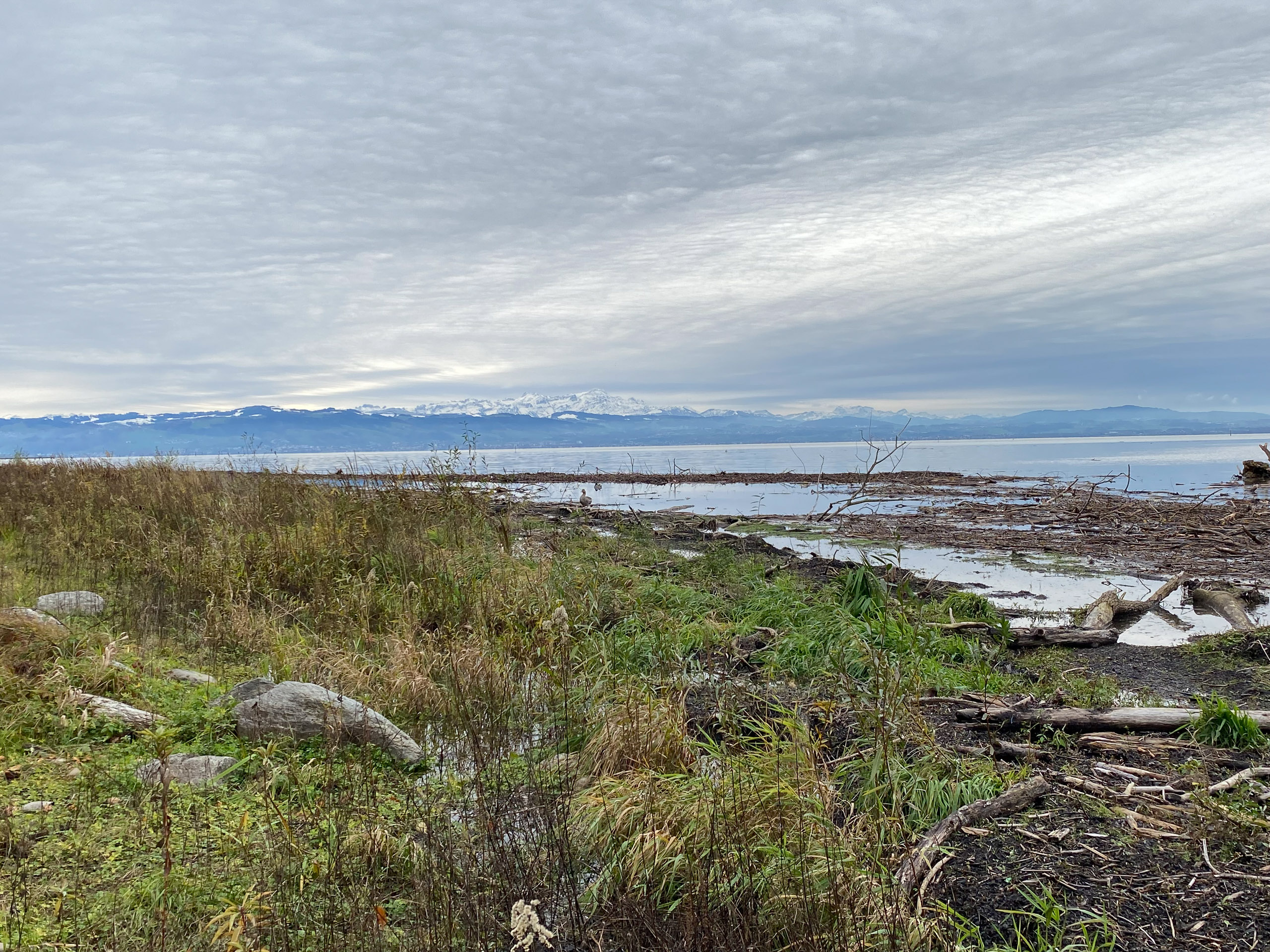 20231118125257 IMG 8957