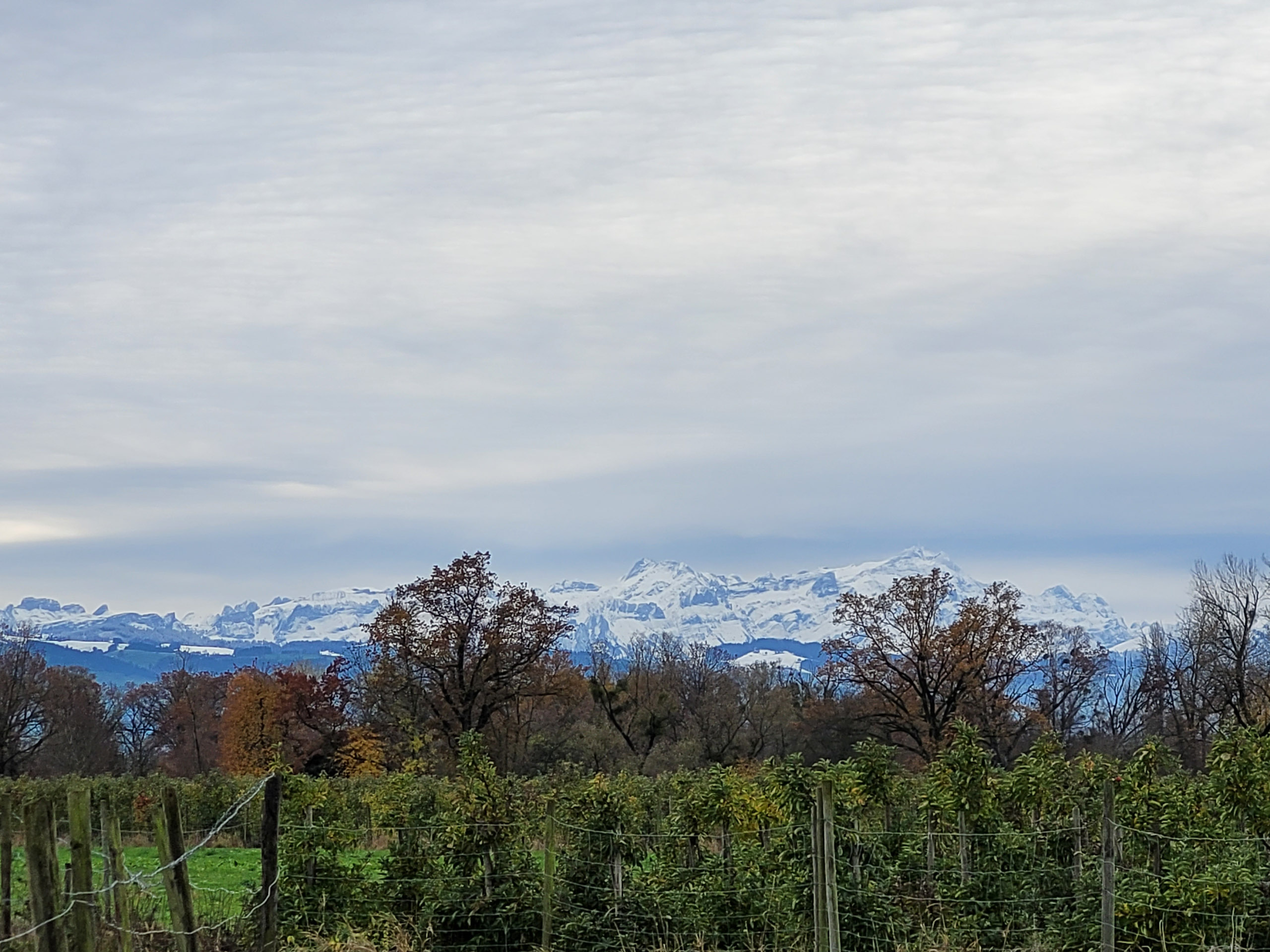 20231118125557 20231118 125557