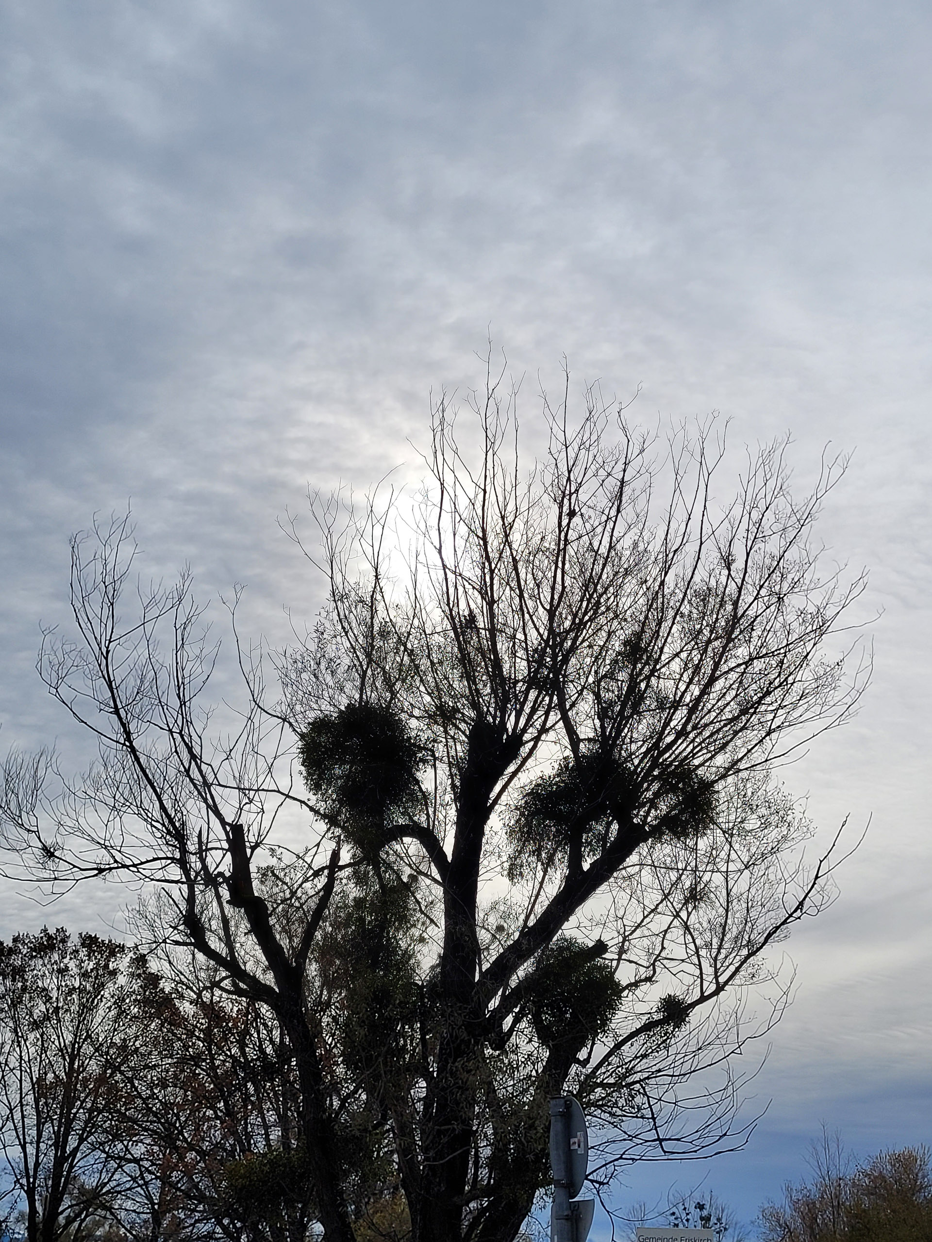 20231118130325 20231118 130324