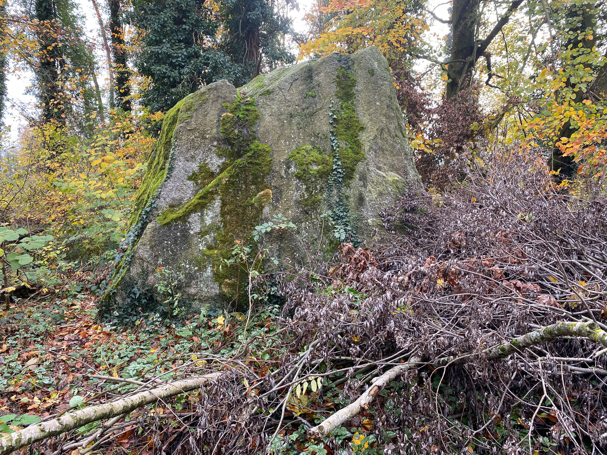 20231118130535 IMG 8963