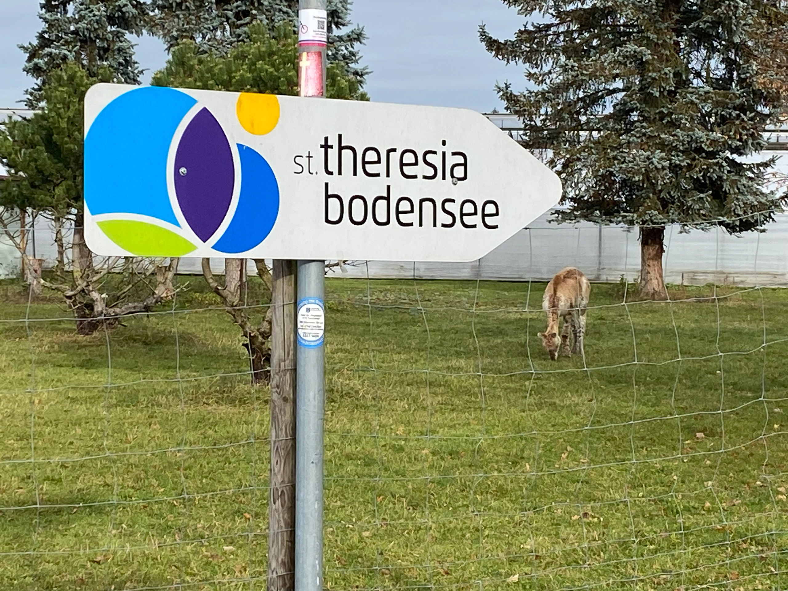 20231118130912 IMG 8964