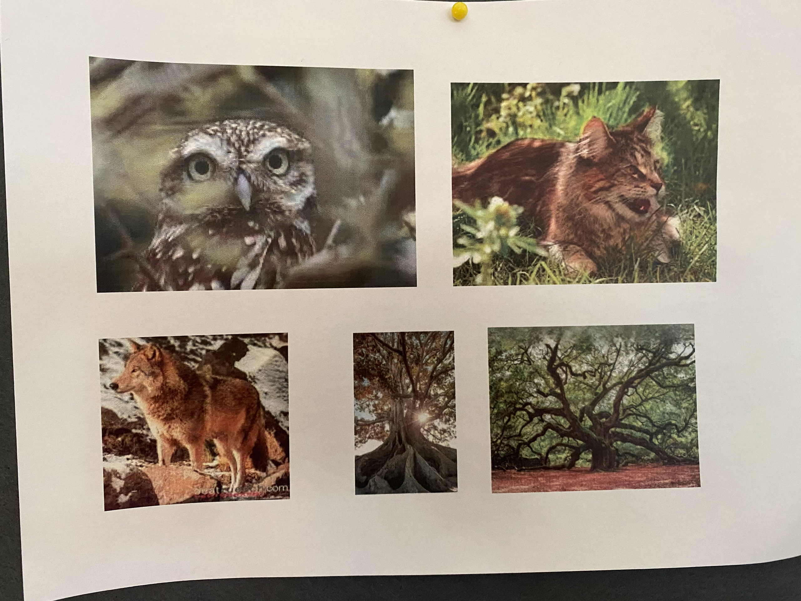 20231118133450 IMG 8971