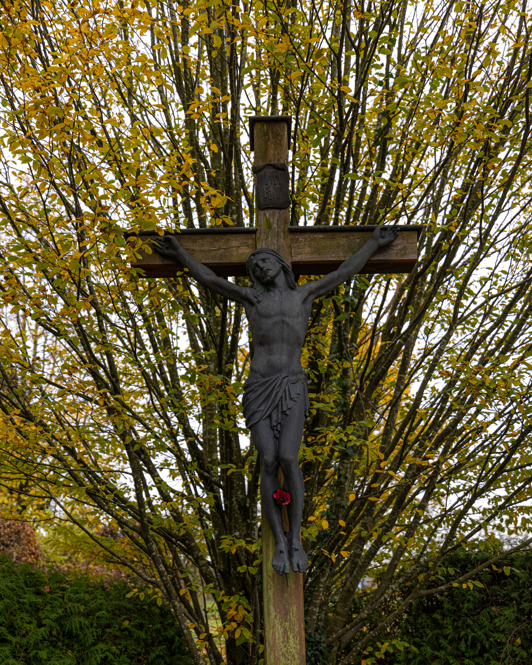 20231118144729 R5D 5492