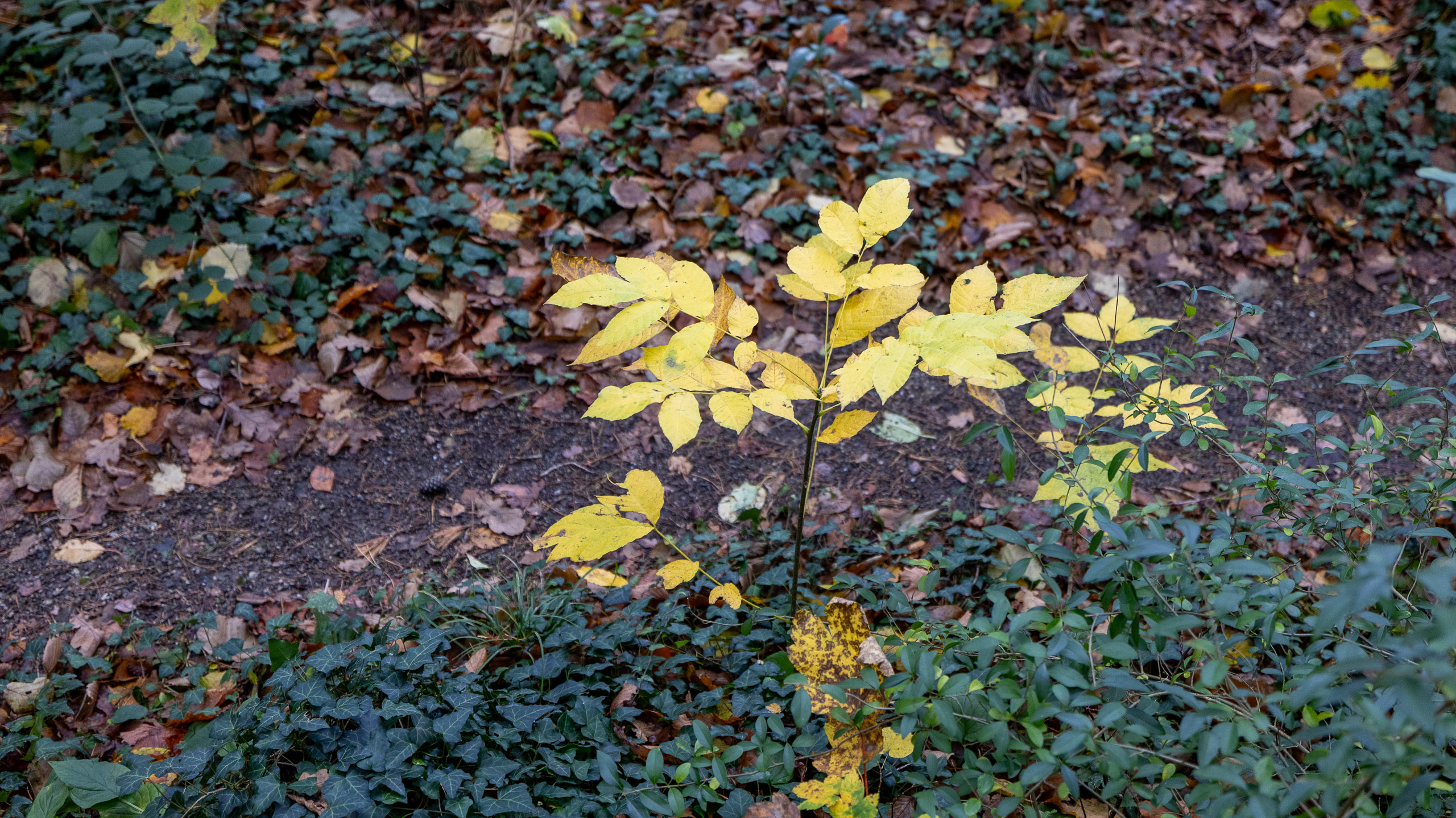 20231118144943 R5D 5501