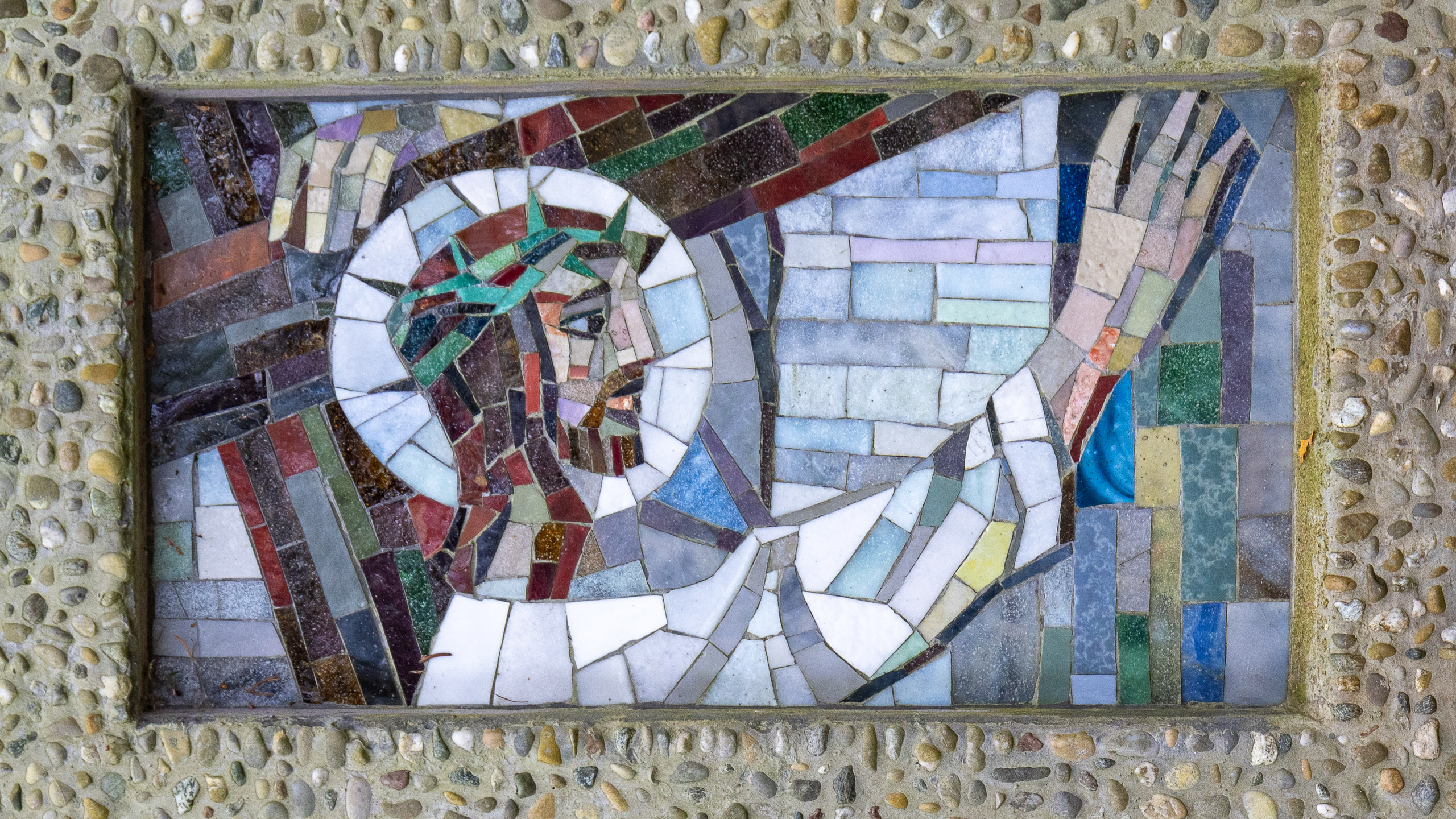 20231118145403 R5D 5518