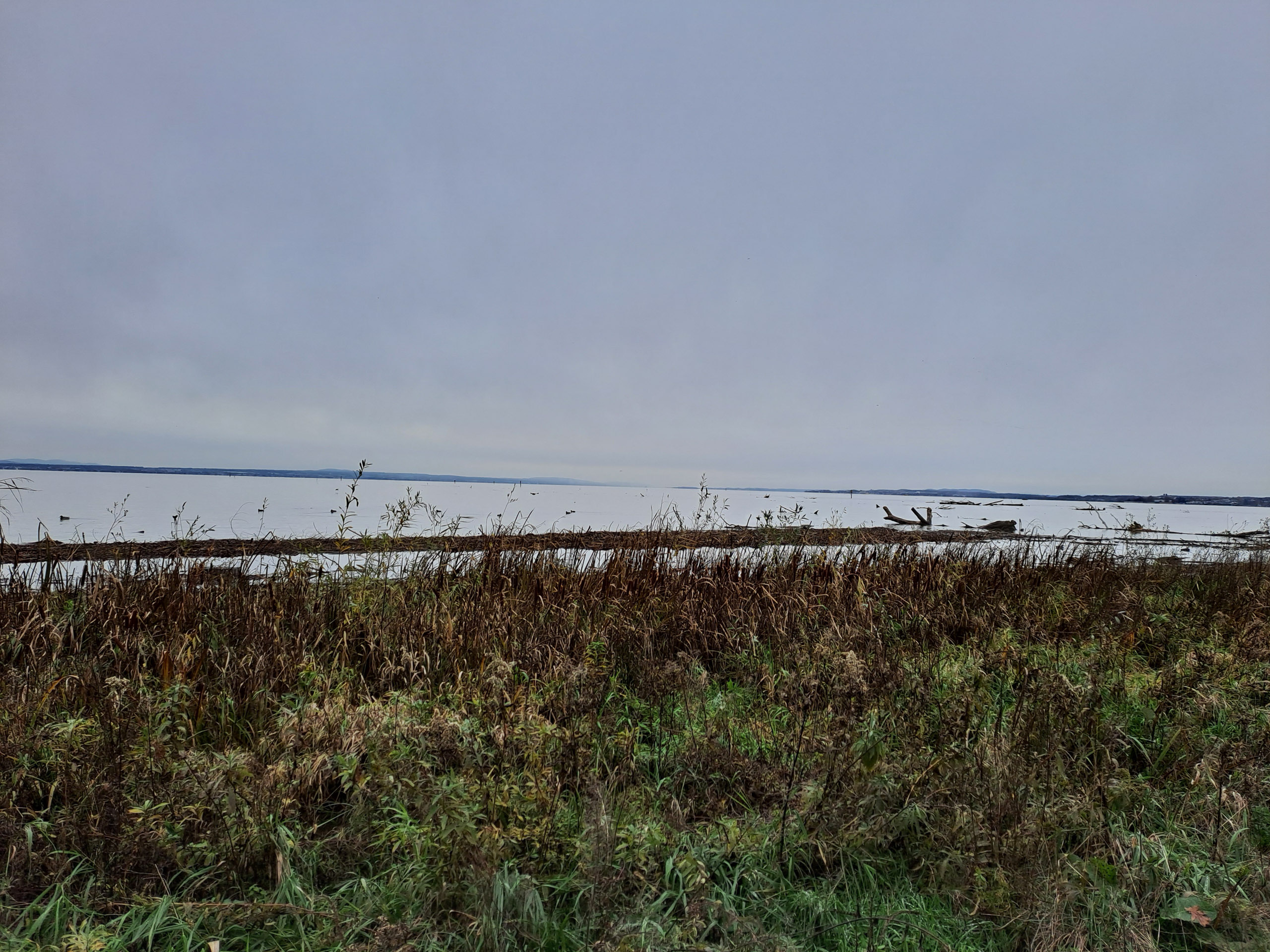 20231118150059 20231118 150059