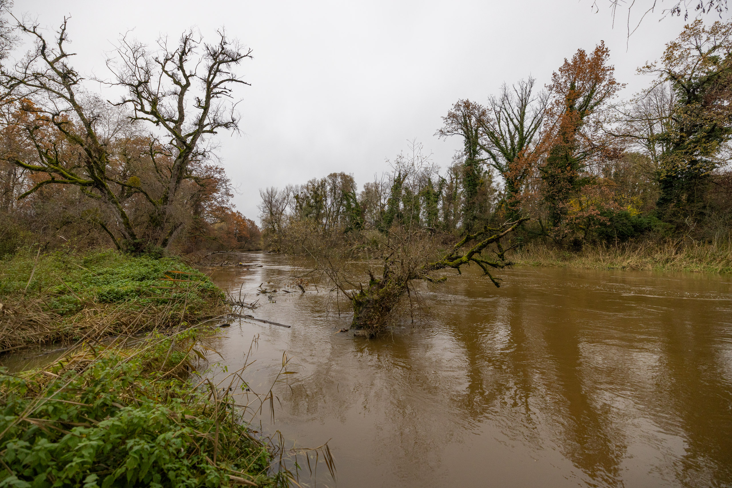 20231118150754 R5D 5538