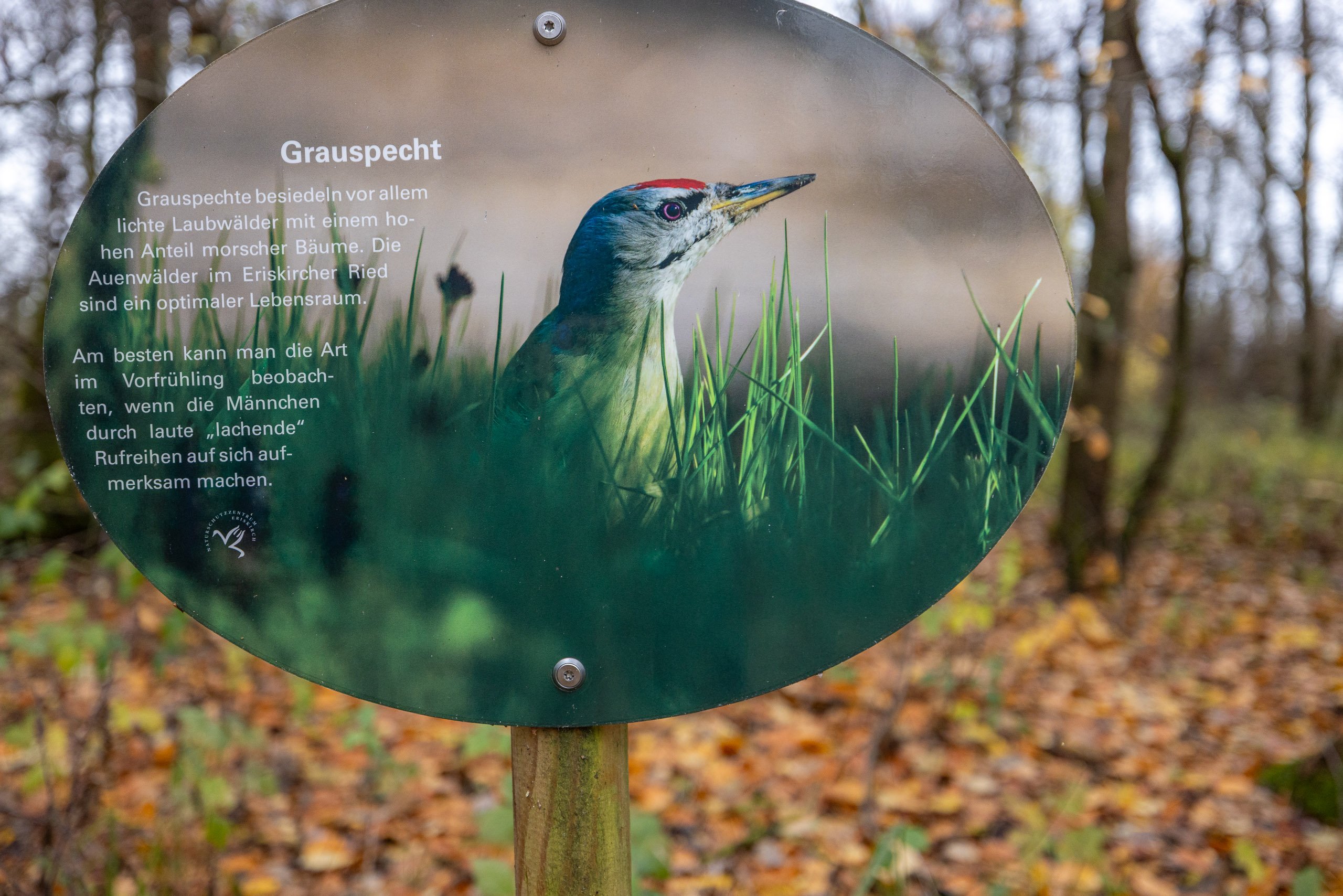 20231118151034 R5D 5544