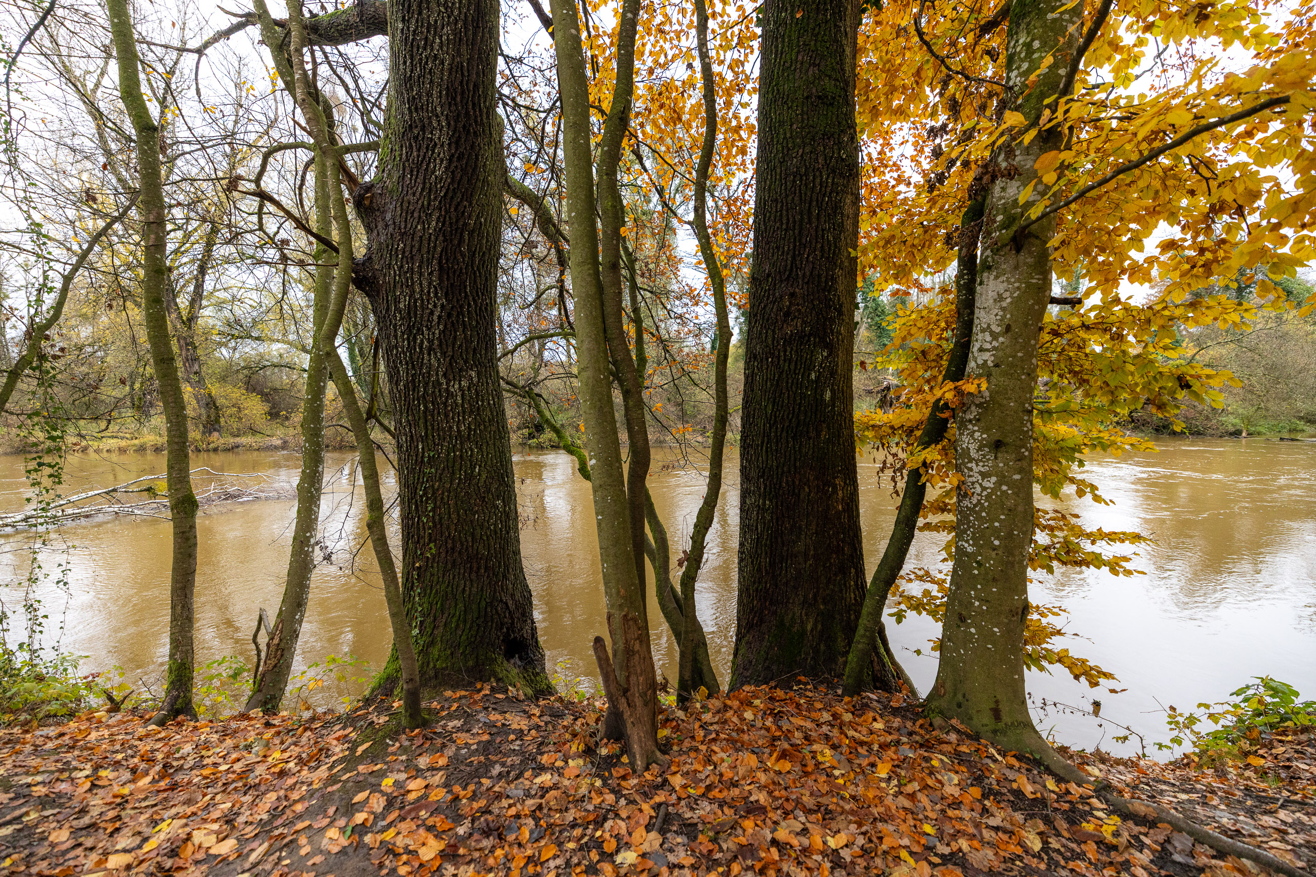 20231118151334 R5D 5547 2