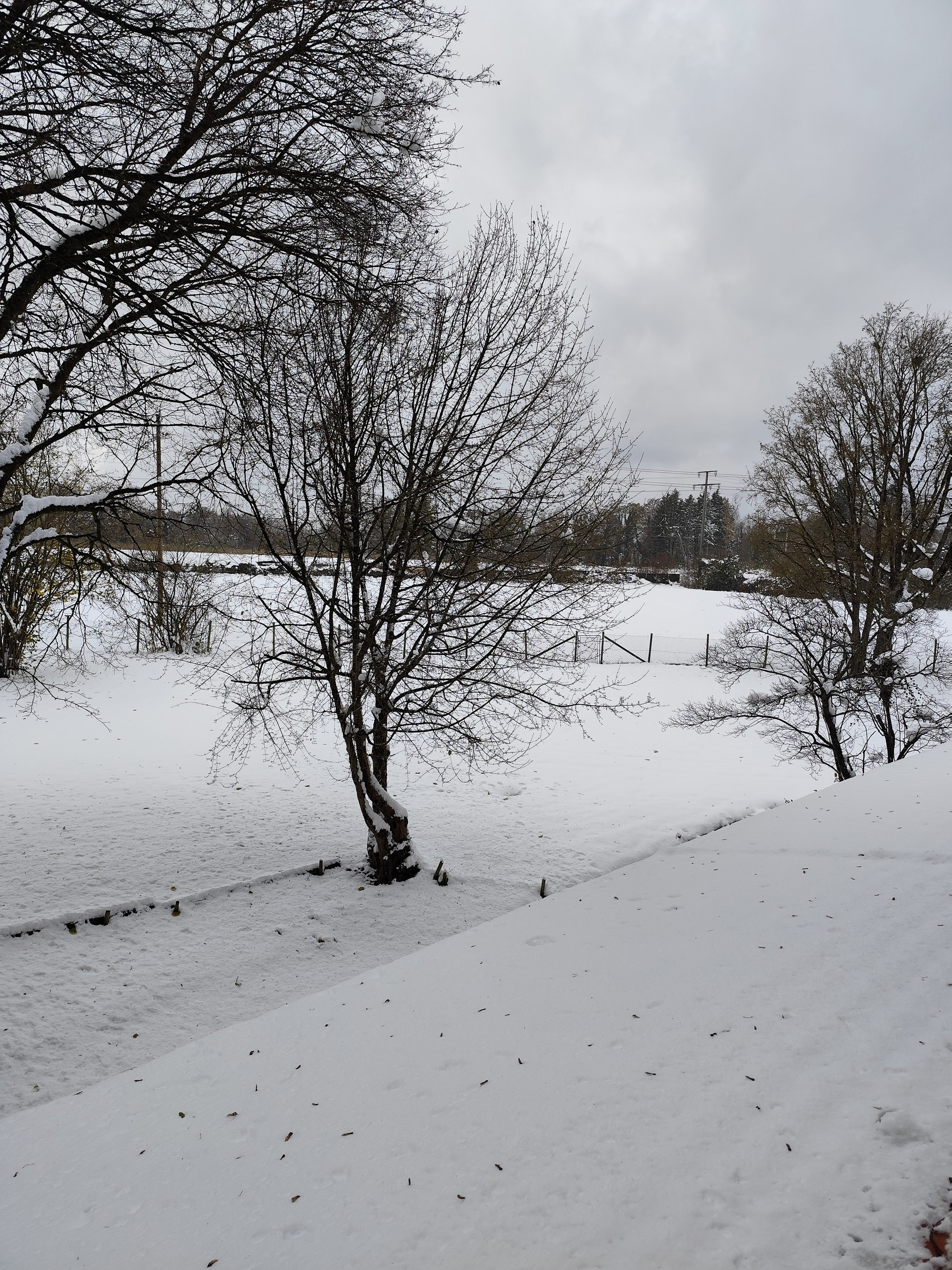 20241122143705 IMG 20241122 143705