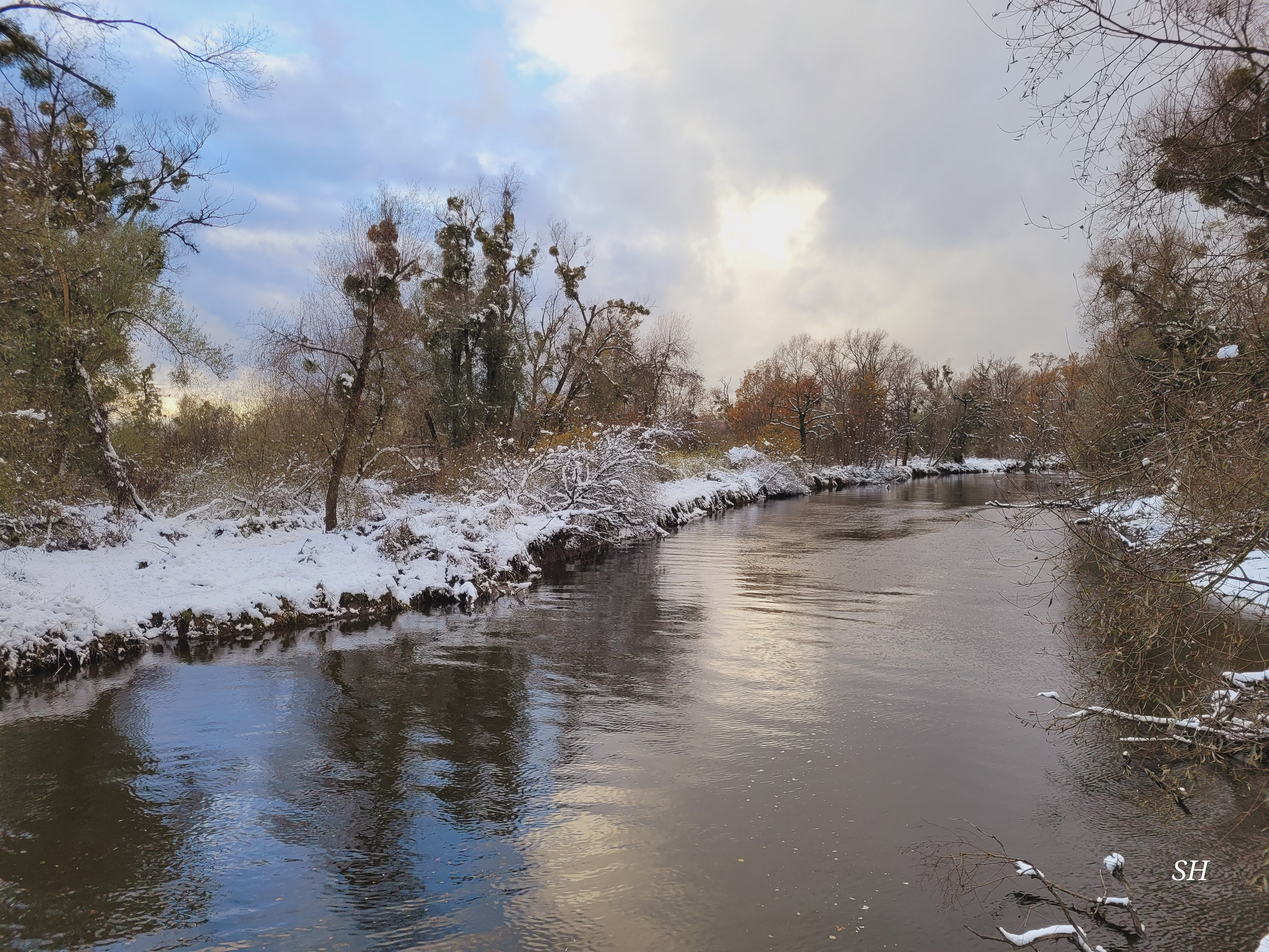 20241122152335 20241122 152334