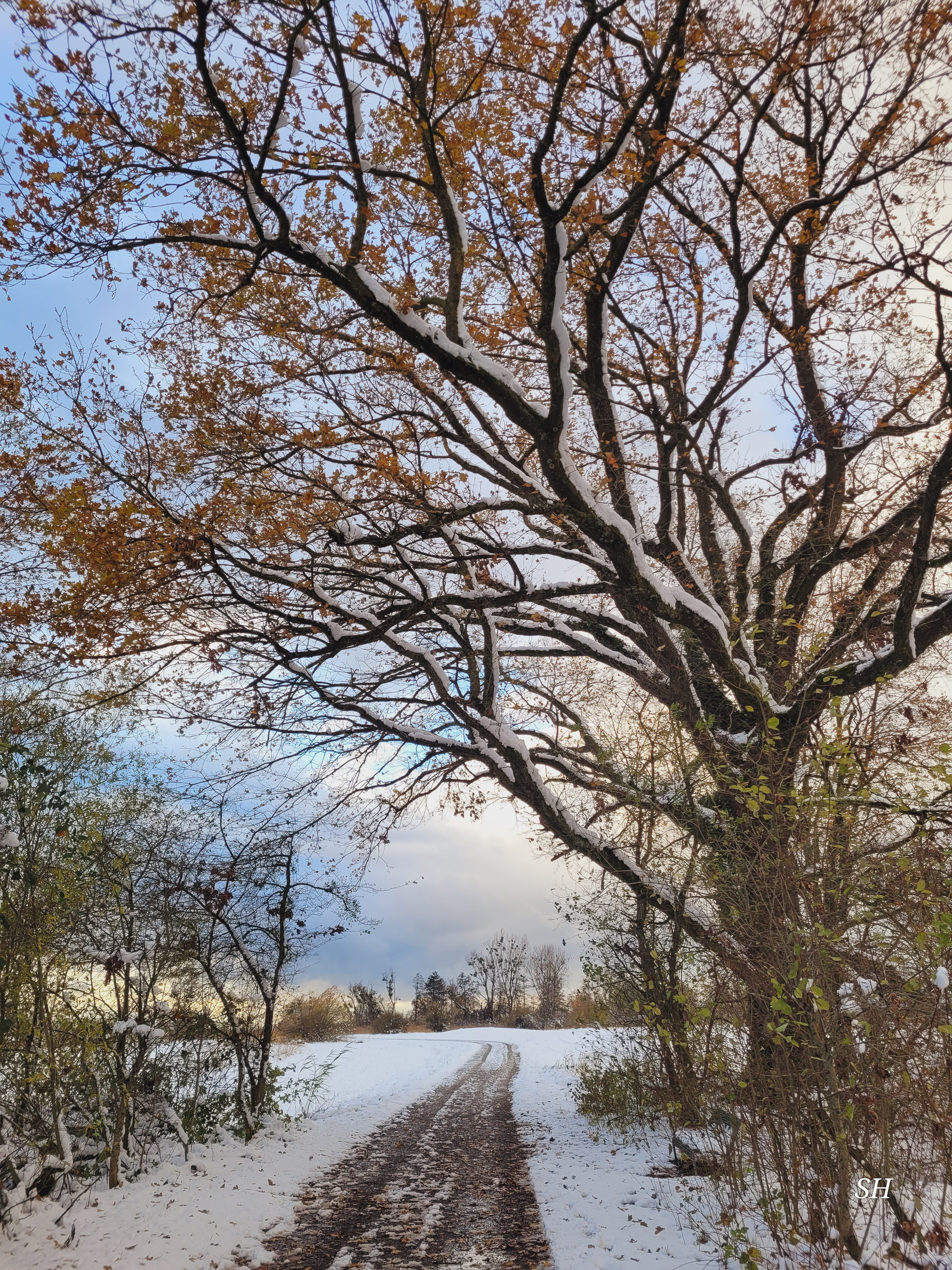 20241122153012 20241122 153012