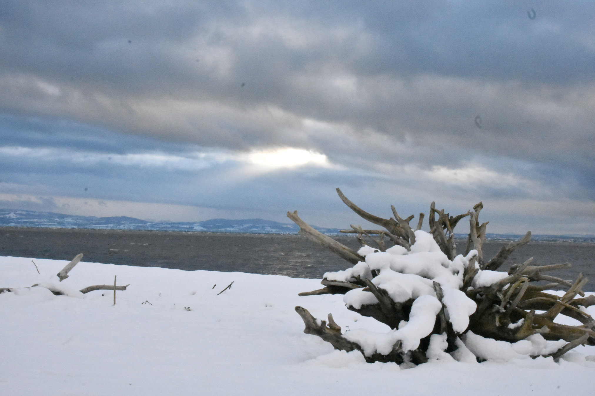 20241122164146 A240470