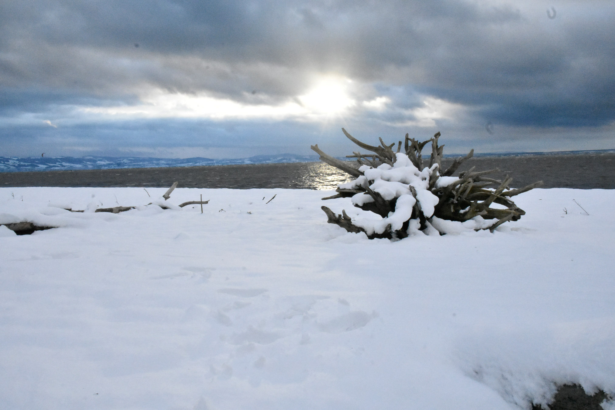 20241122164405 A240498