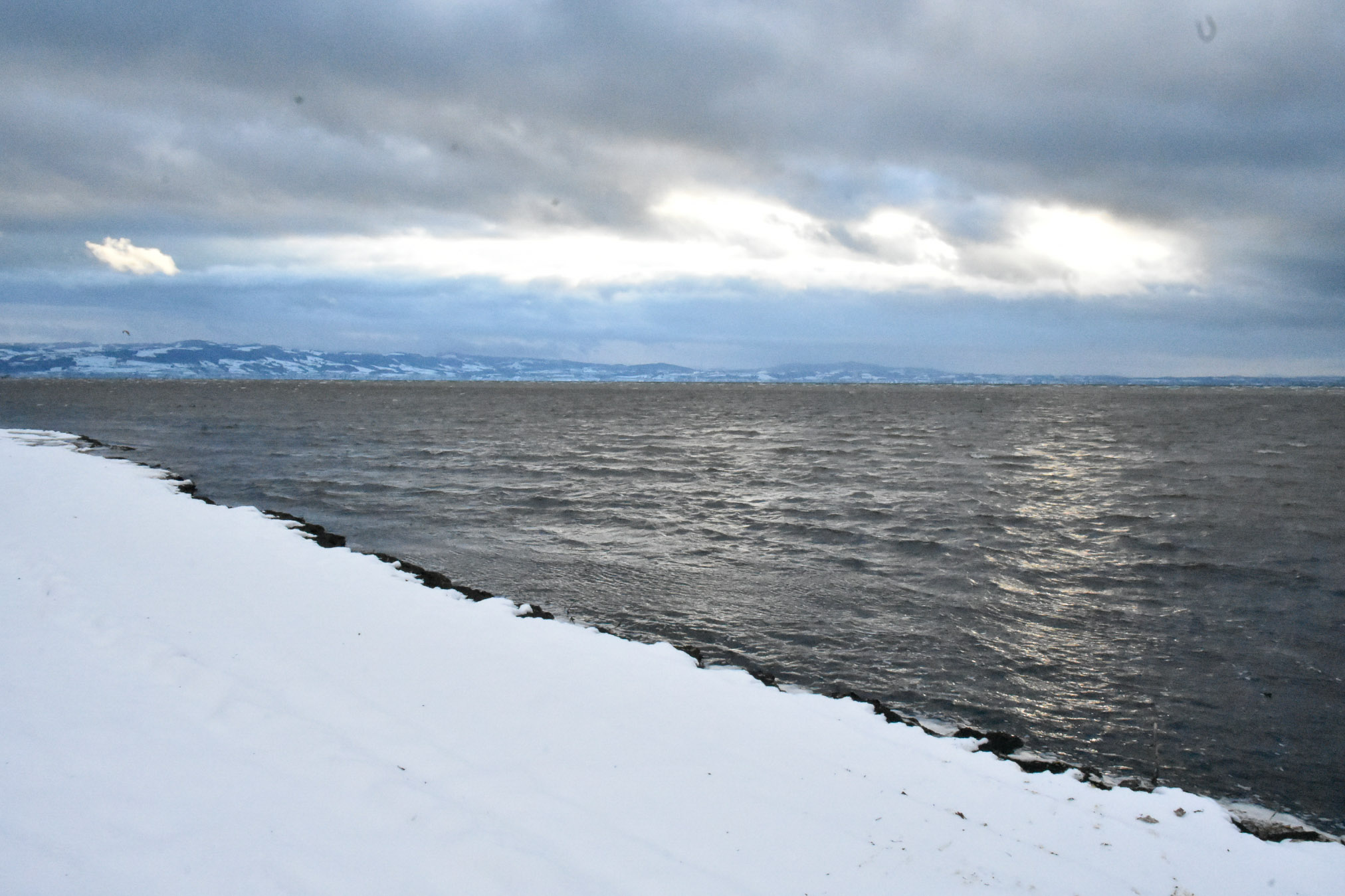 20241122164532 A240504