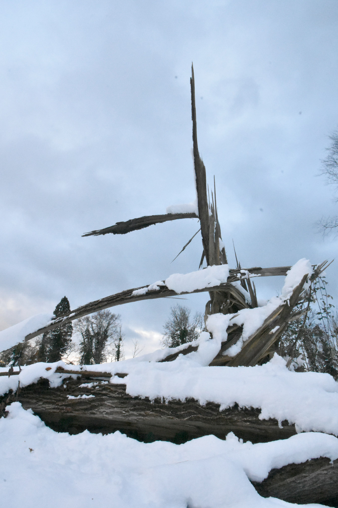 20241122165237 A240514