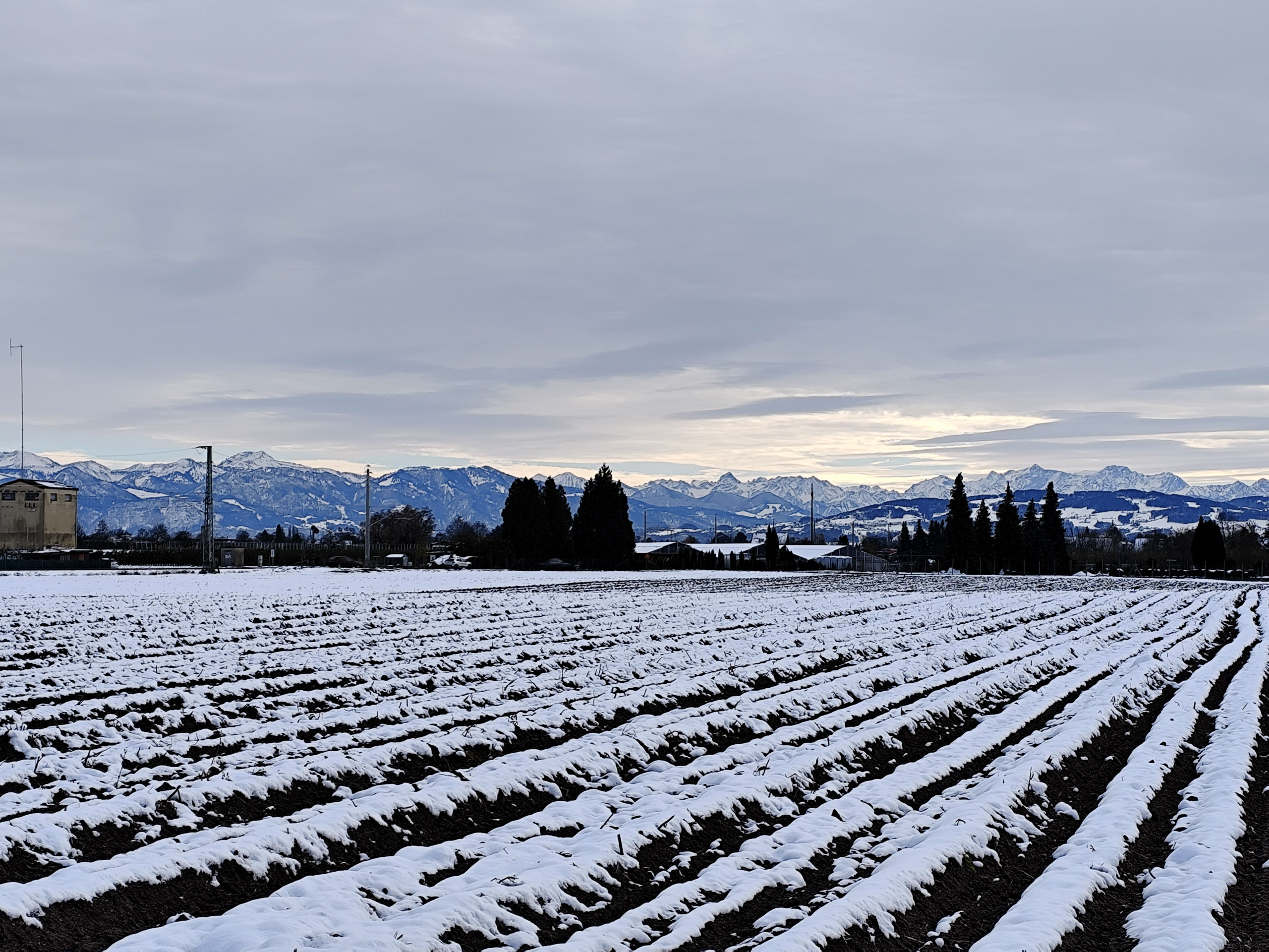 20241123131556 IMG 20241123 131556