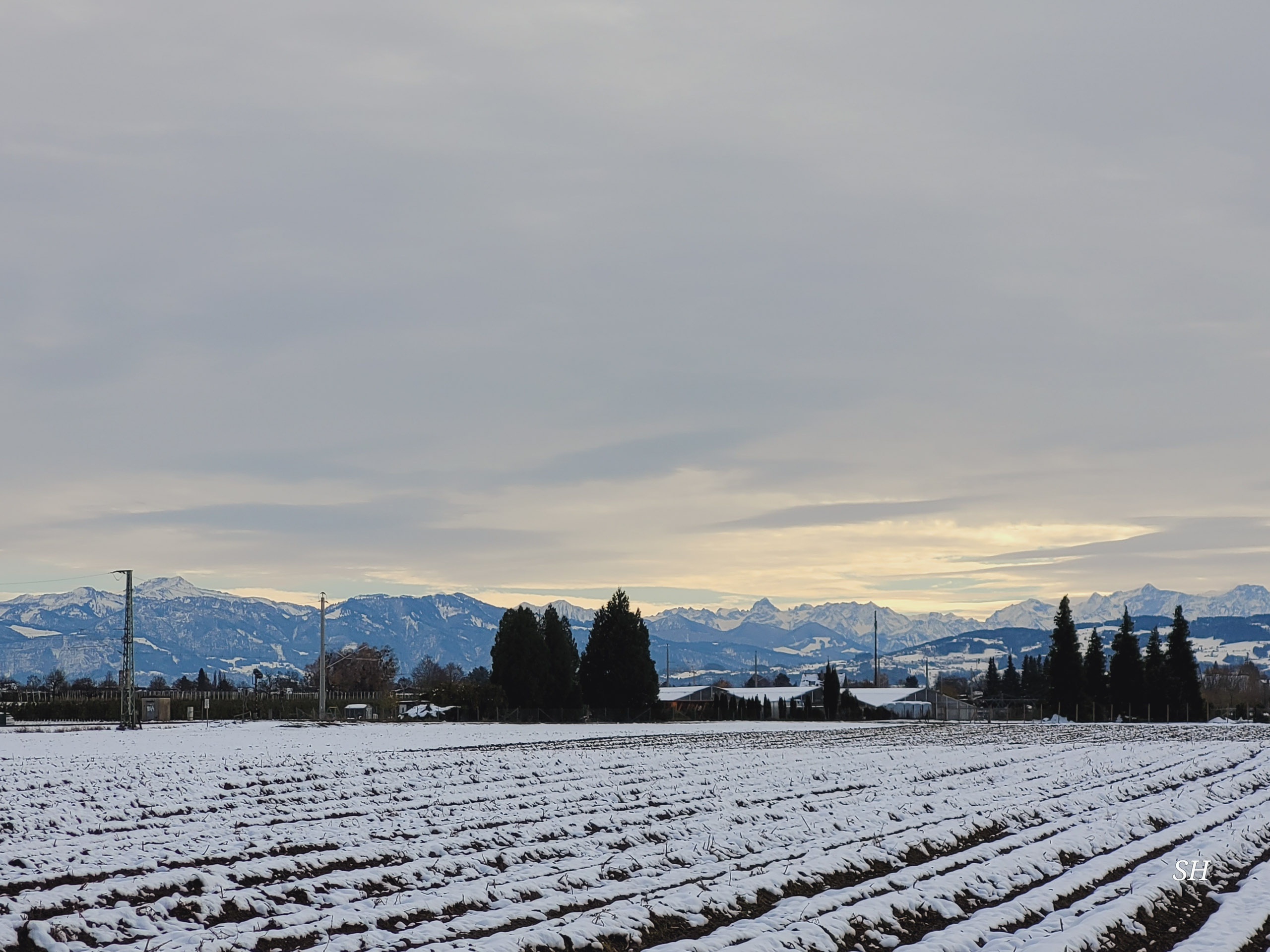 20241123131624 20241123 131623